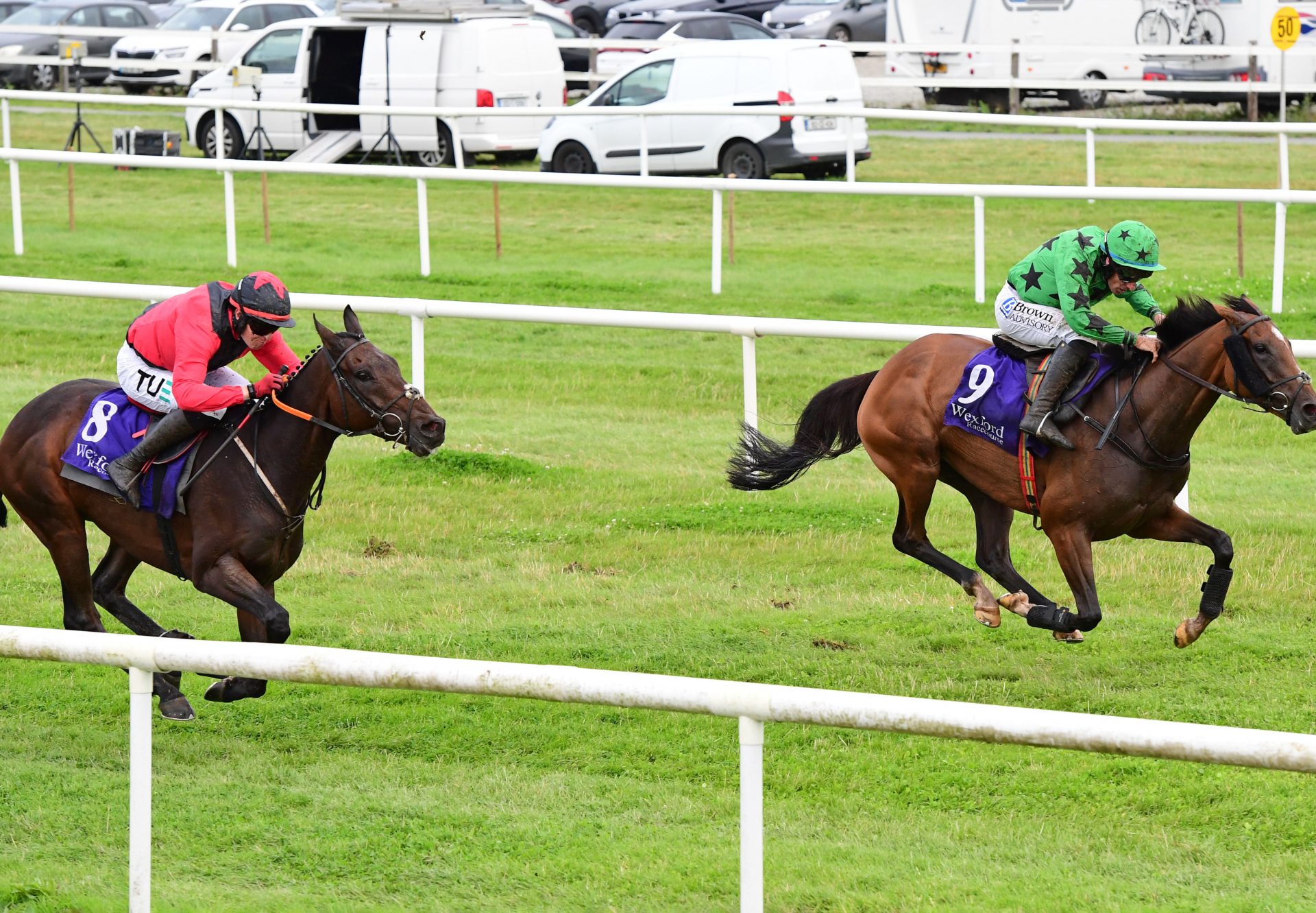 Ashdale Flyer (walk in the park) Wexford 02