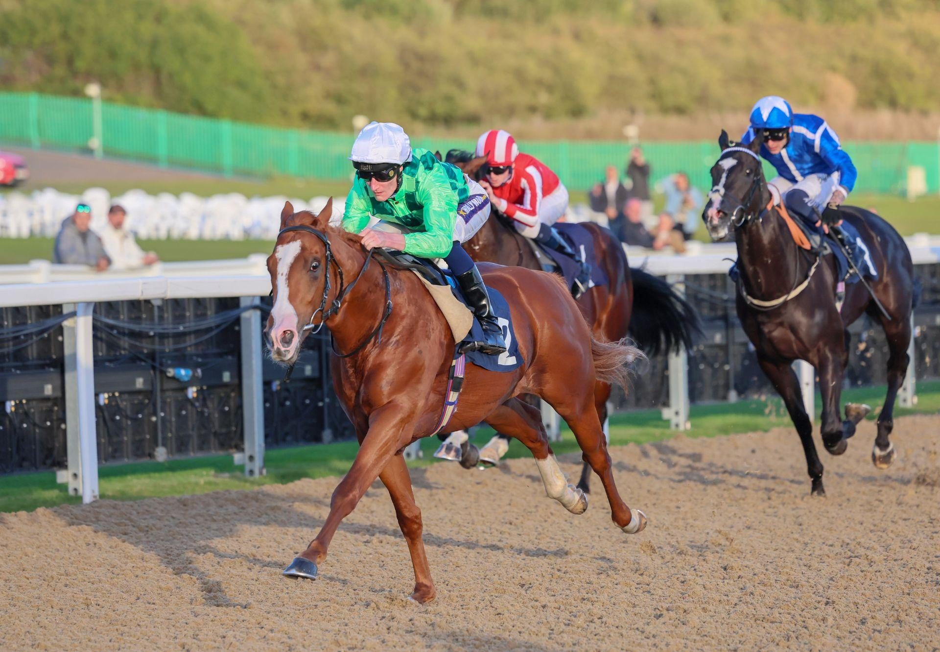 Augustus Gloop St Marks Basilica Newcastle