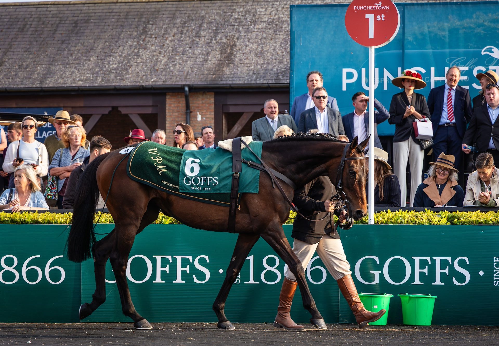 Aurora Vega (walk in the park) Tops The Goffs Punchestown Sale At €450000