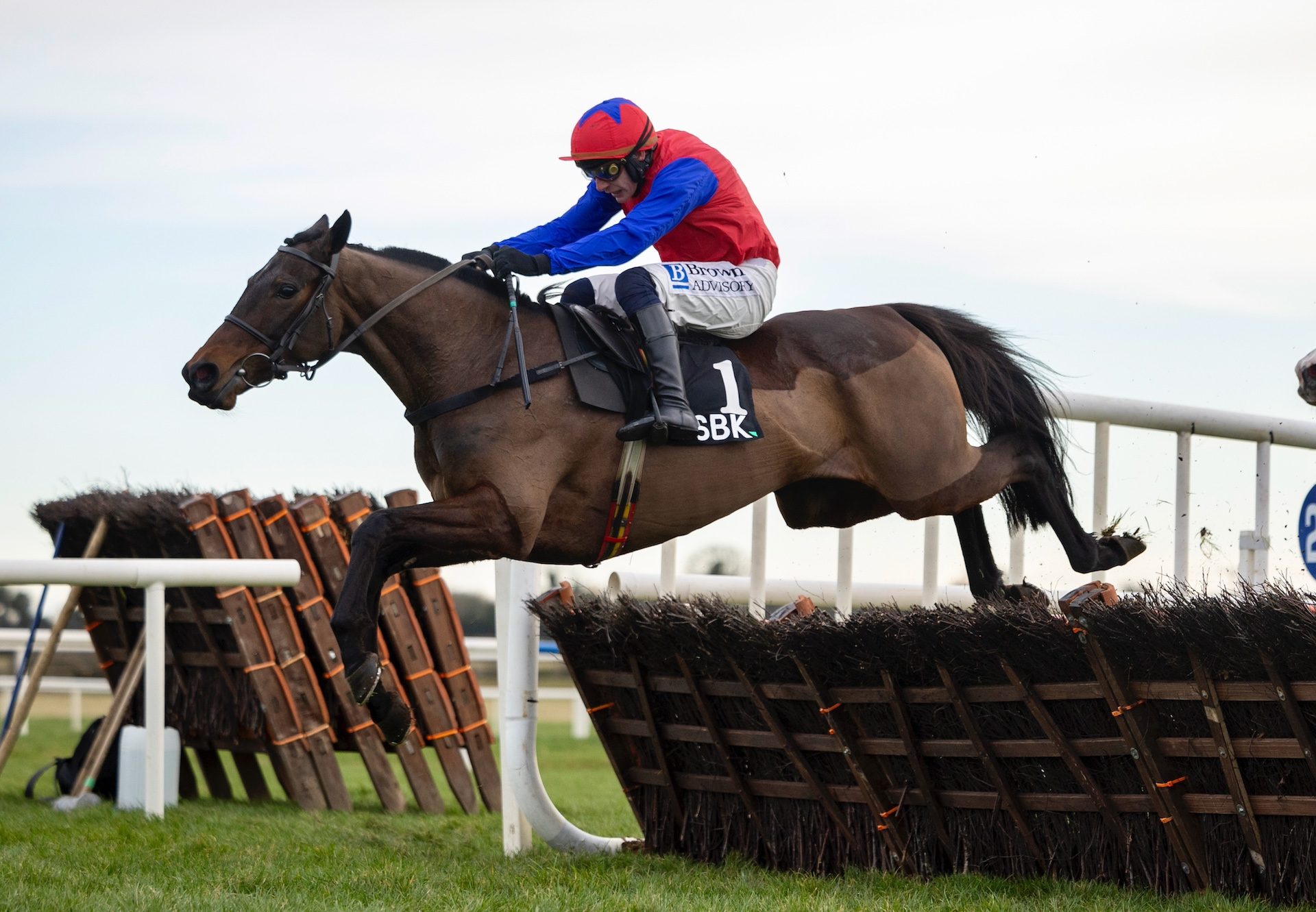 Aurora Vega (Walk In The Park) Wins The Grade 3 Solerina Mares Novice Hurdle