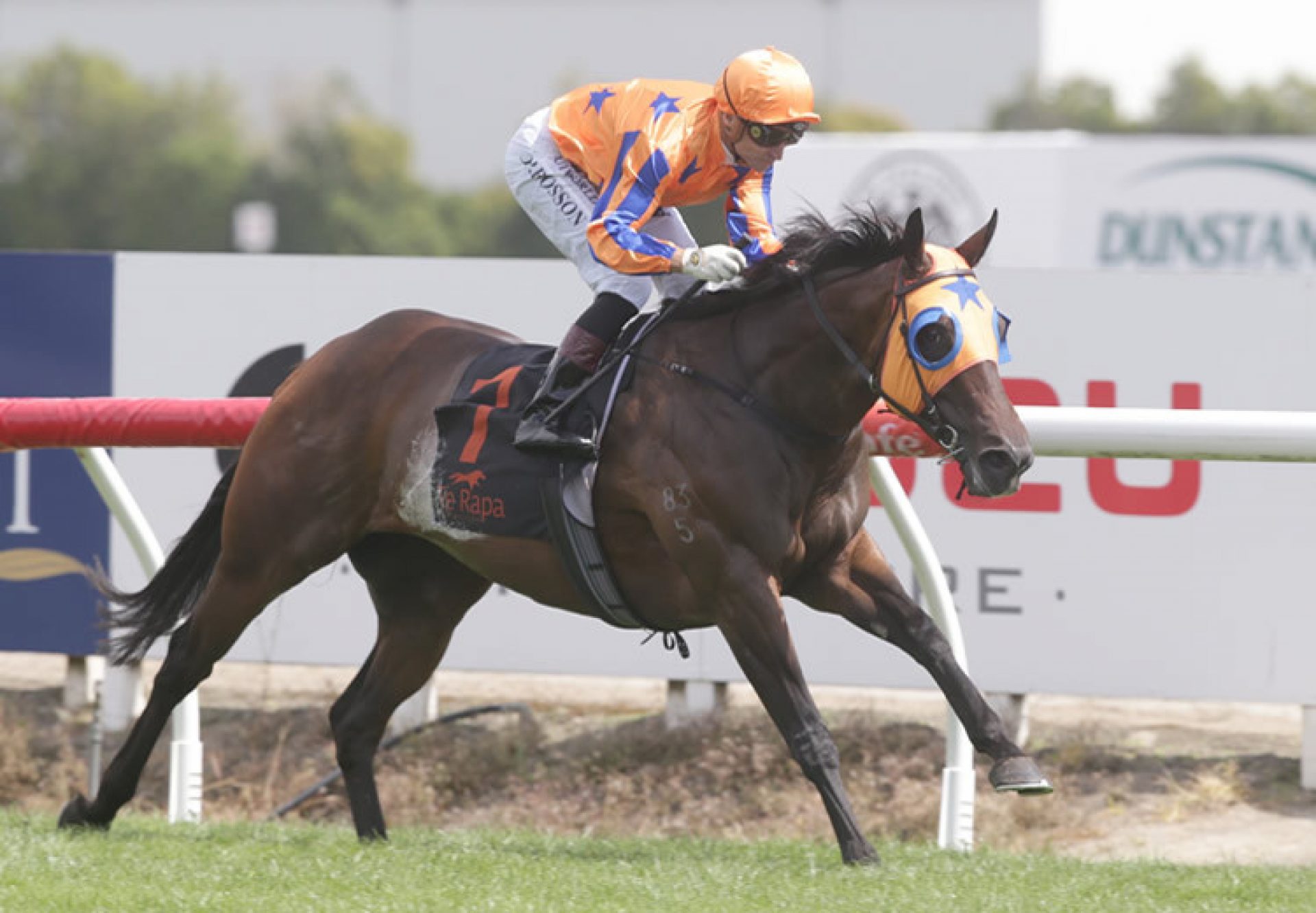 Avantage (Fastnet Rock) winning the Gr.1 BCD Group Sprint at Te Rapa