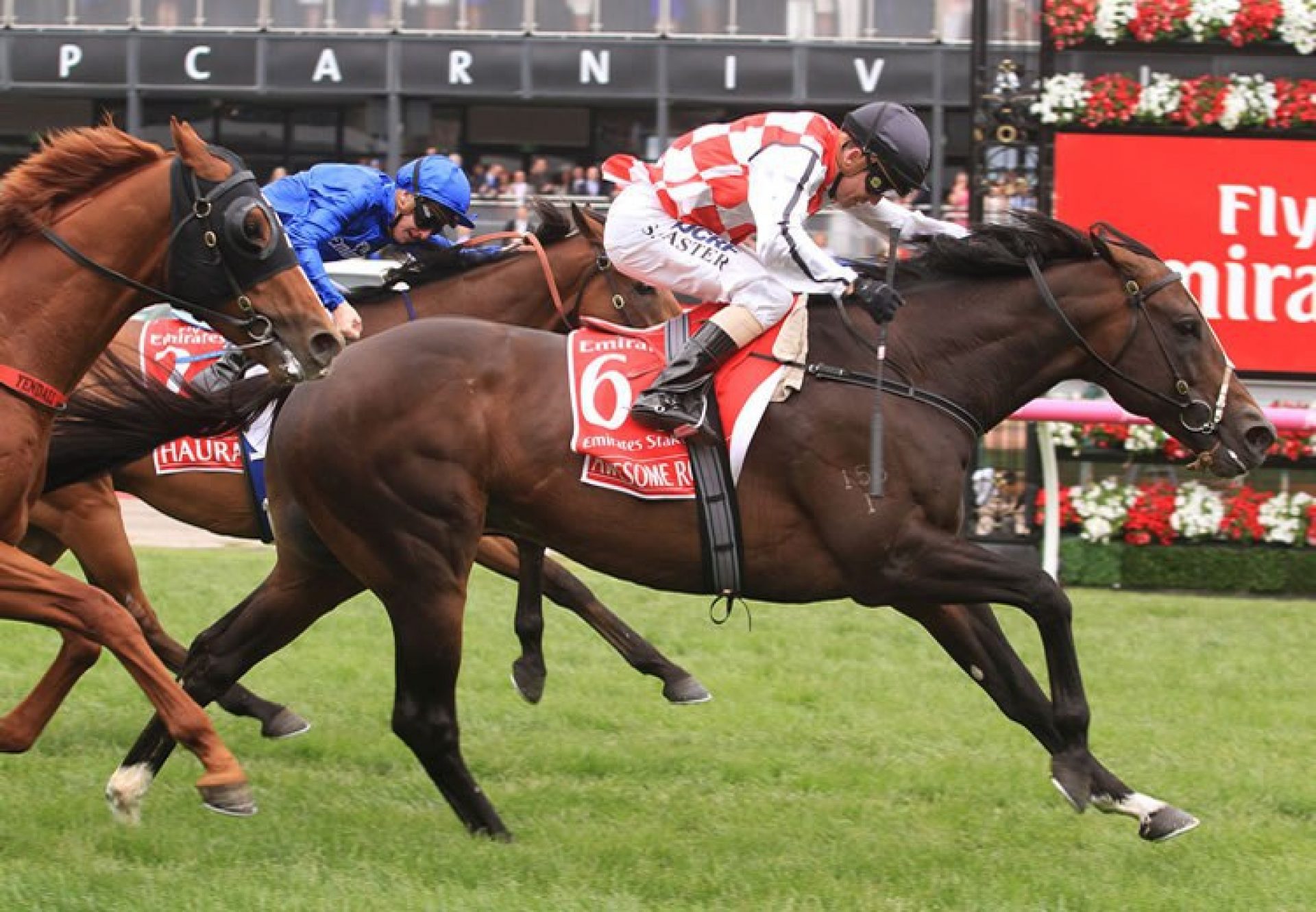 Awesome Rock (Fastnet Rock)