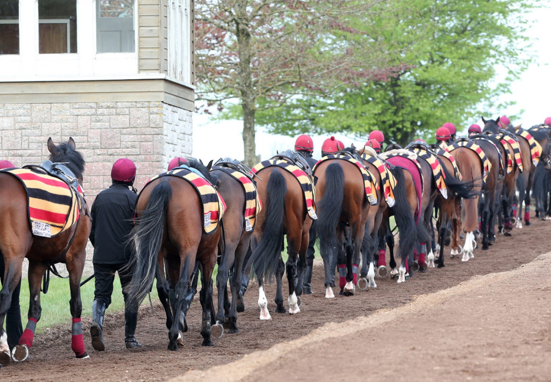 Balldyoyle Carousel 7