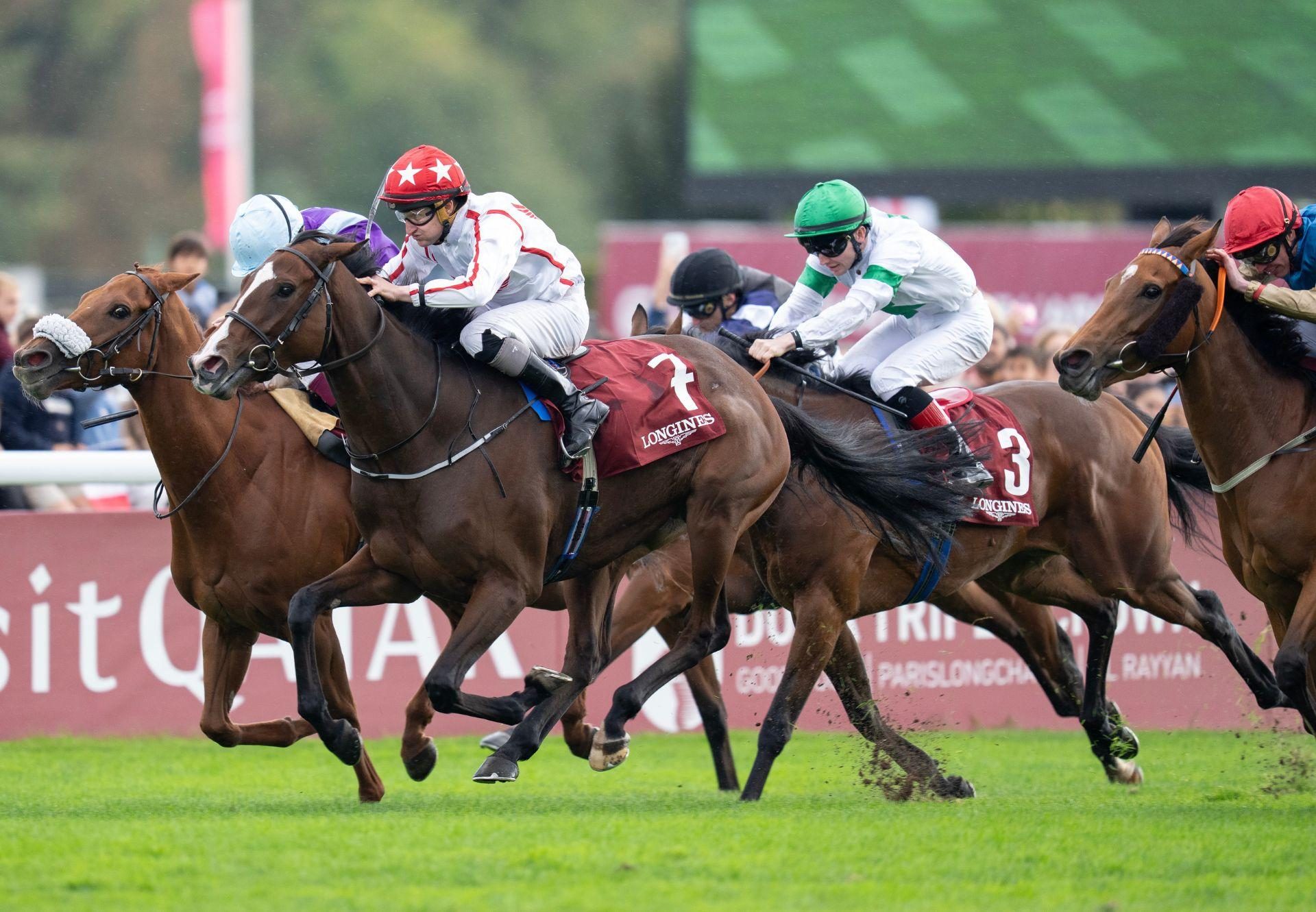 Barnavara Calyx Longchamp