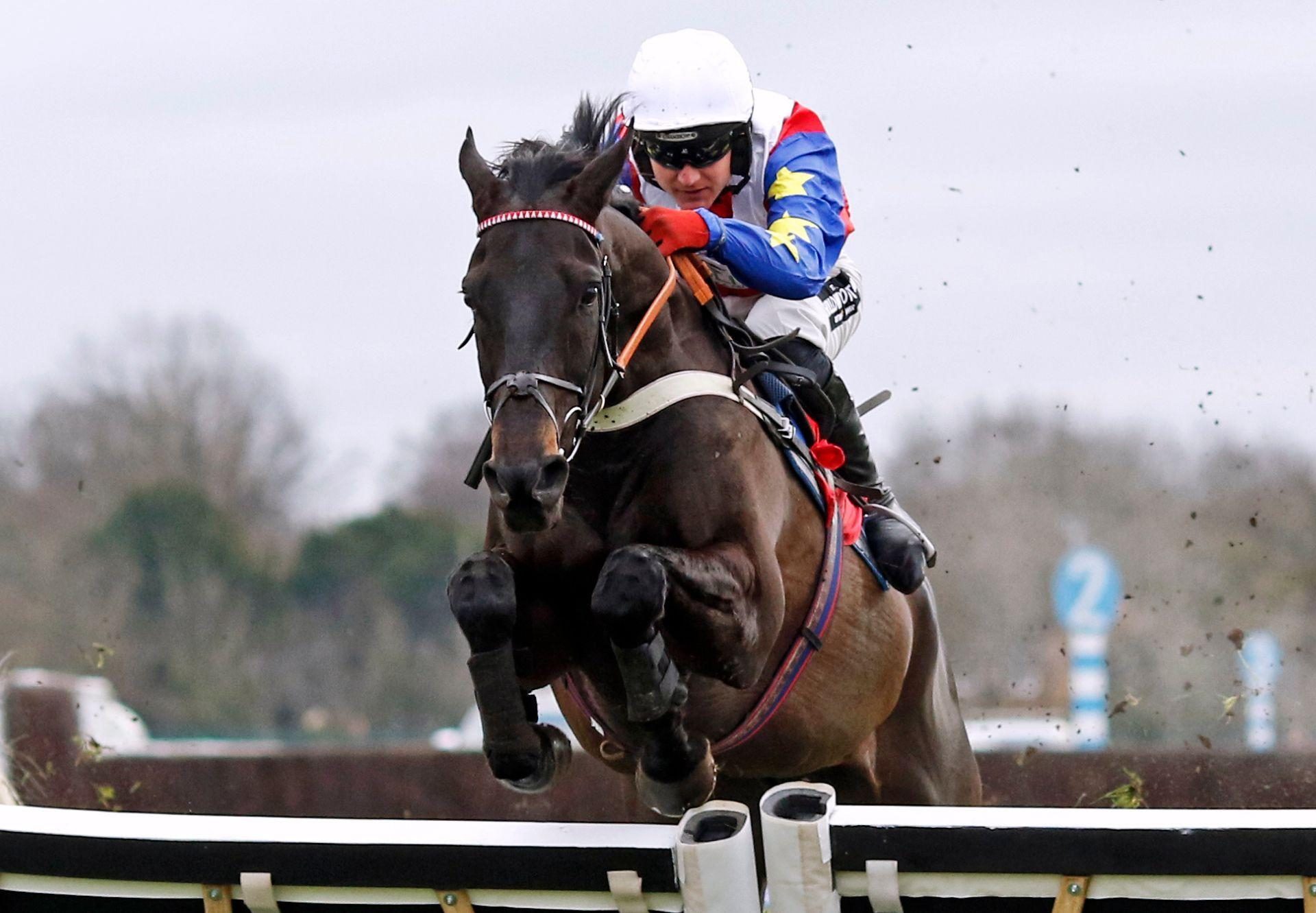 Baron Noir Vadamos Kempton Jumping