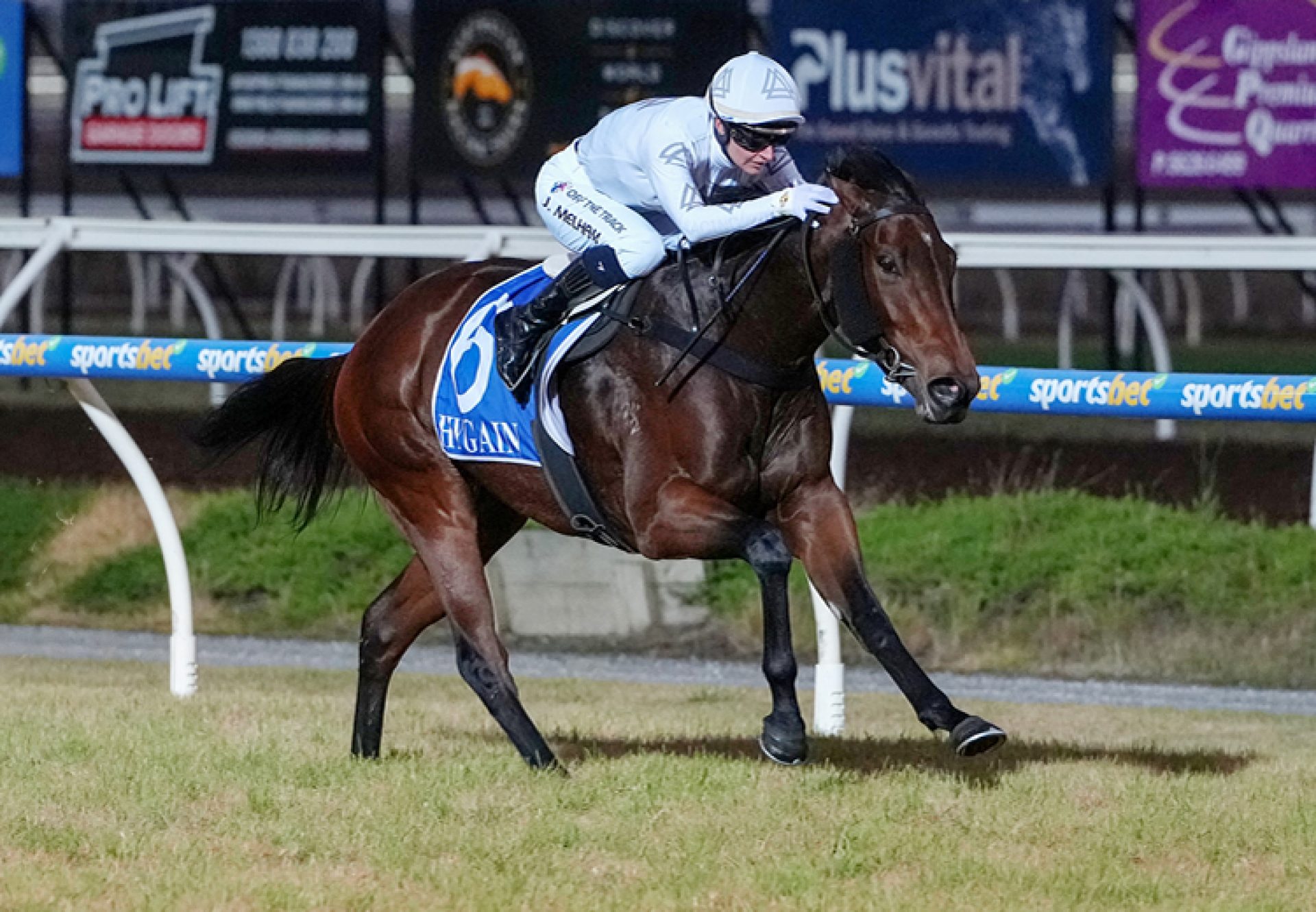 Bella Pietra (Kings Legacy) Pakenham 750