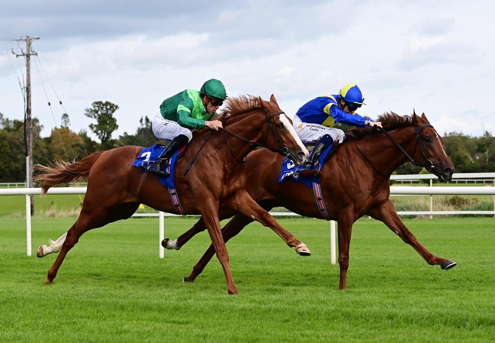 Benvenuto Cellini Frankel Leopardstown