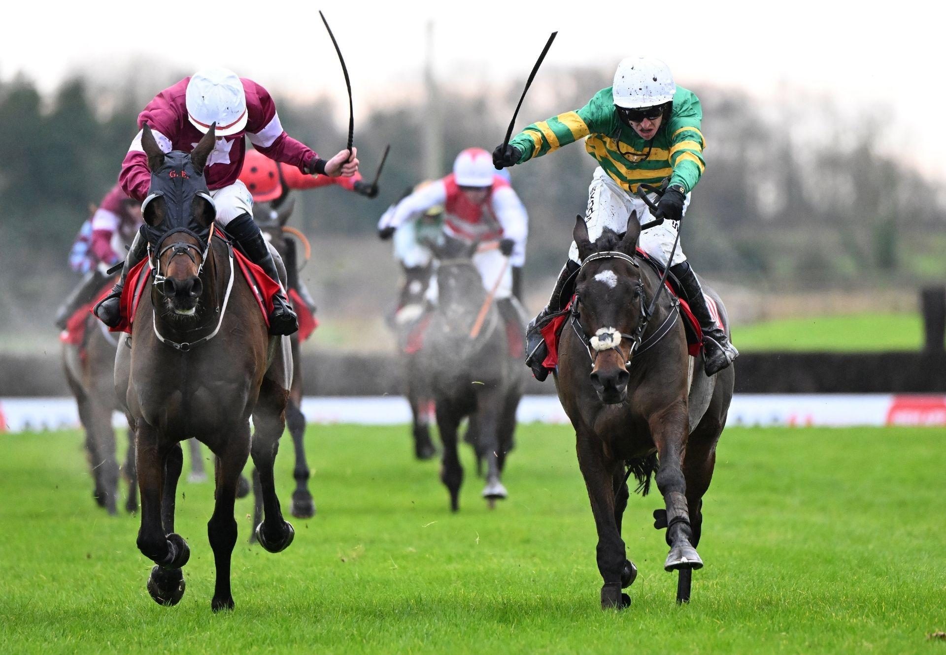 Better Times Ahead Walk In The Park Fairyhouse