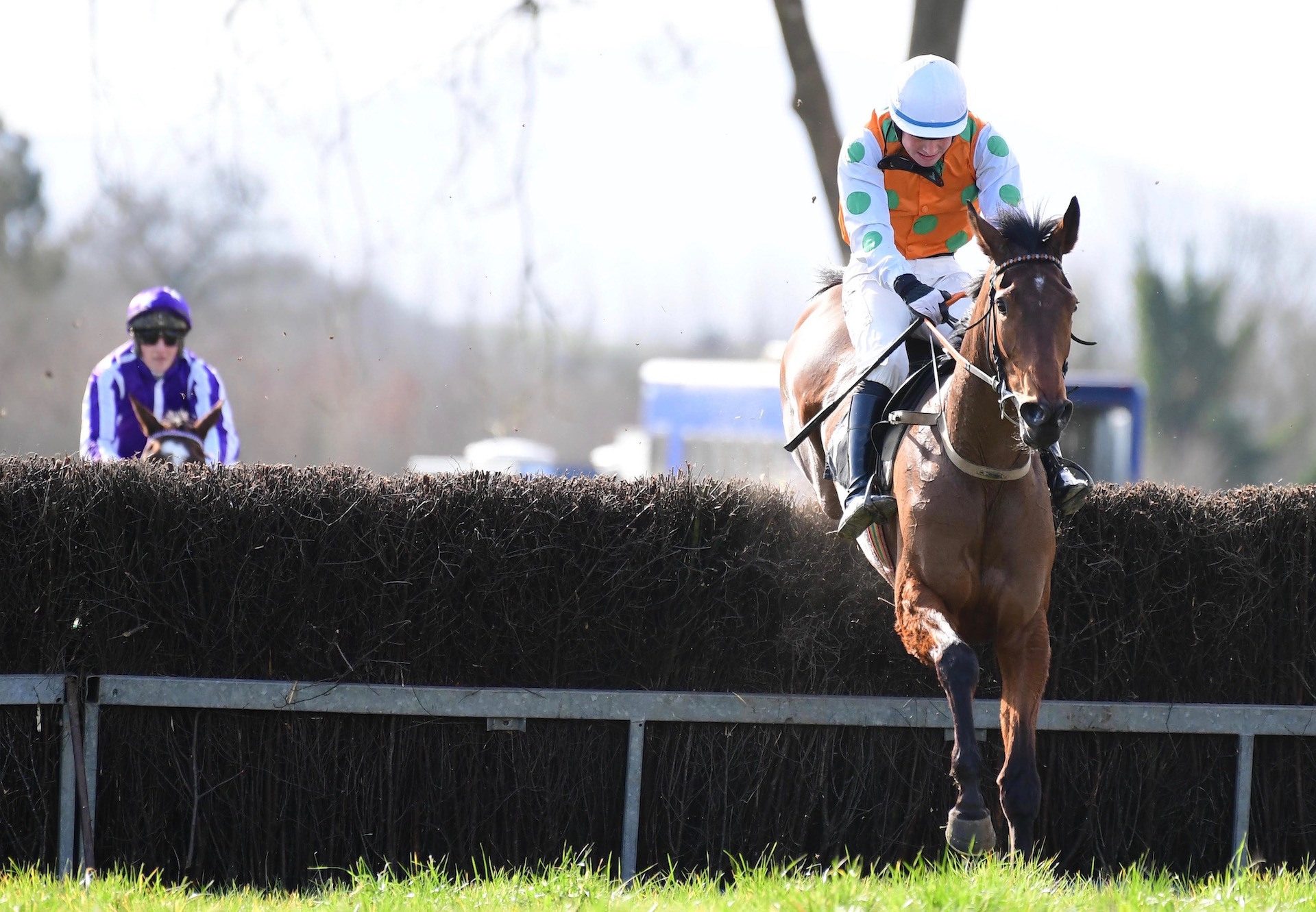 Between Waters (Walk In The Park) Wins The 4 Yo Mares Maiden At Lisronagh