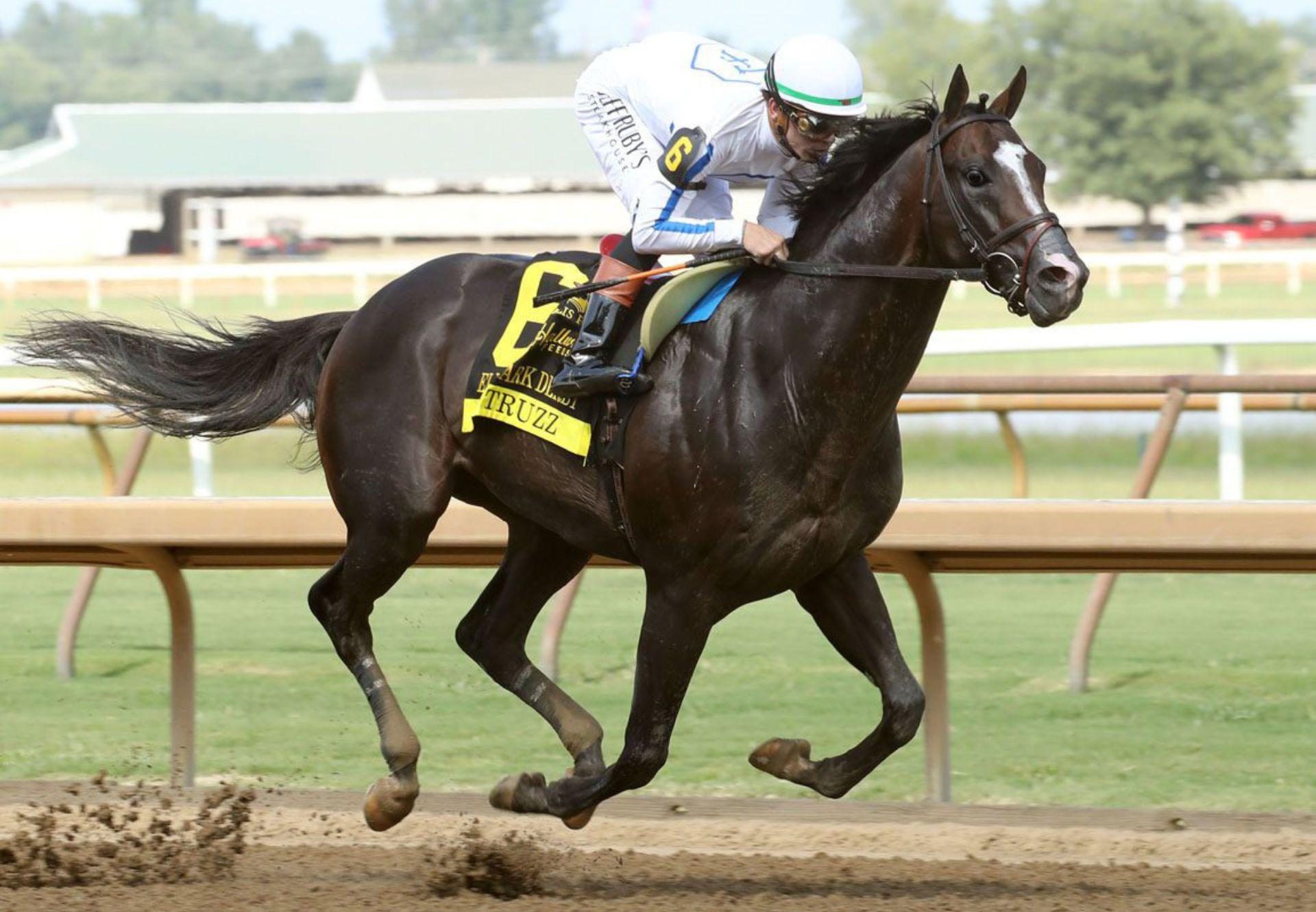 Big Truzz (Justify) Elliss Park