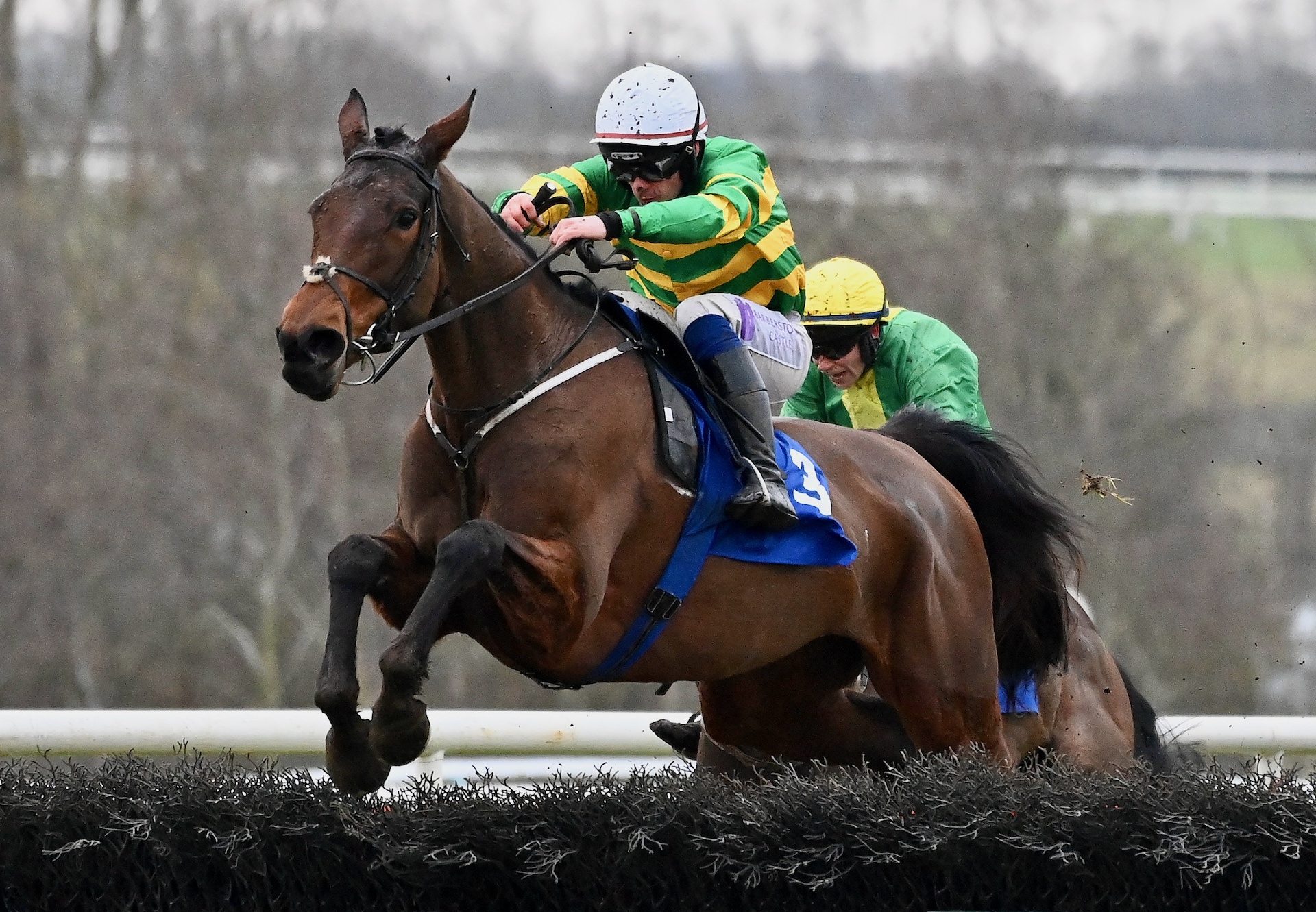 Bioluminescence (Walk In The Park) Wins Grade 3 Mares Novice Hurdle At Limerick
