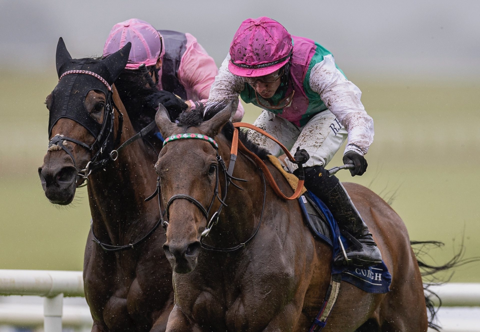Bluestocking (Camelot) Wins The Group 1 Pretty Polly Stakes