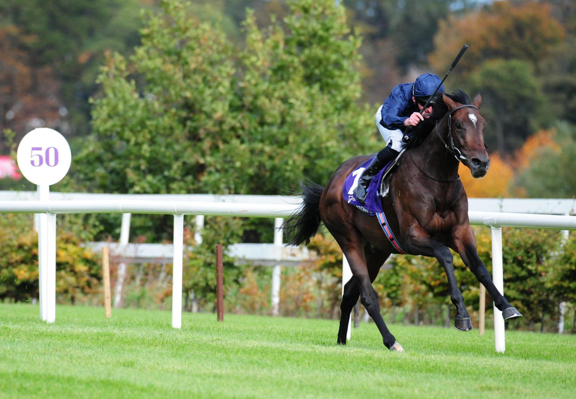 Bolshoi Ballet Maiden