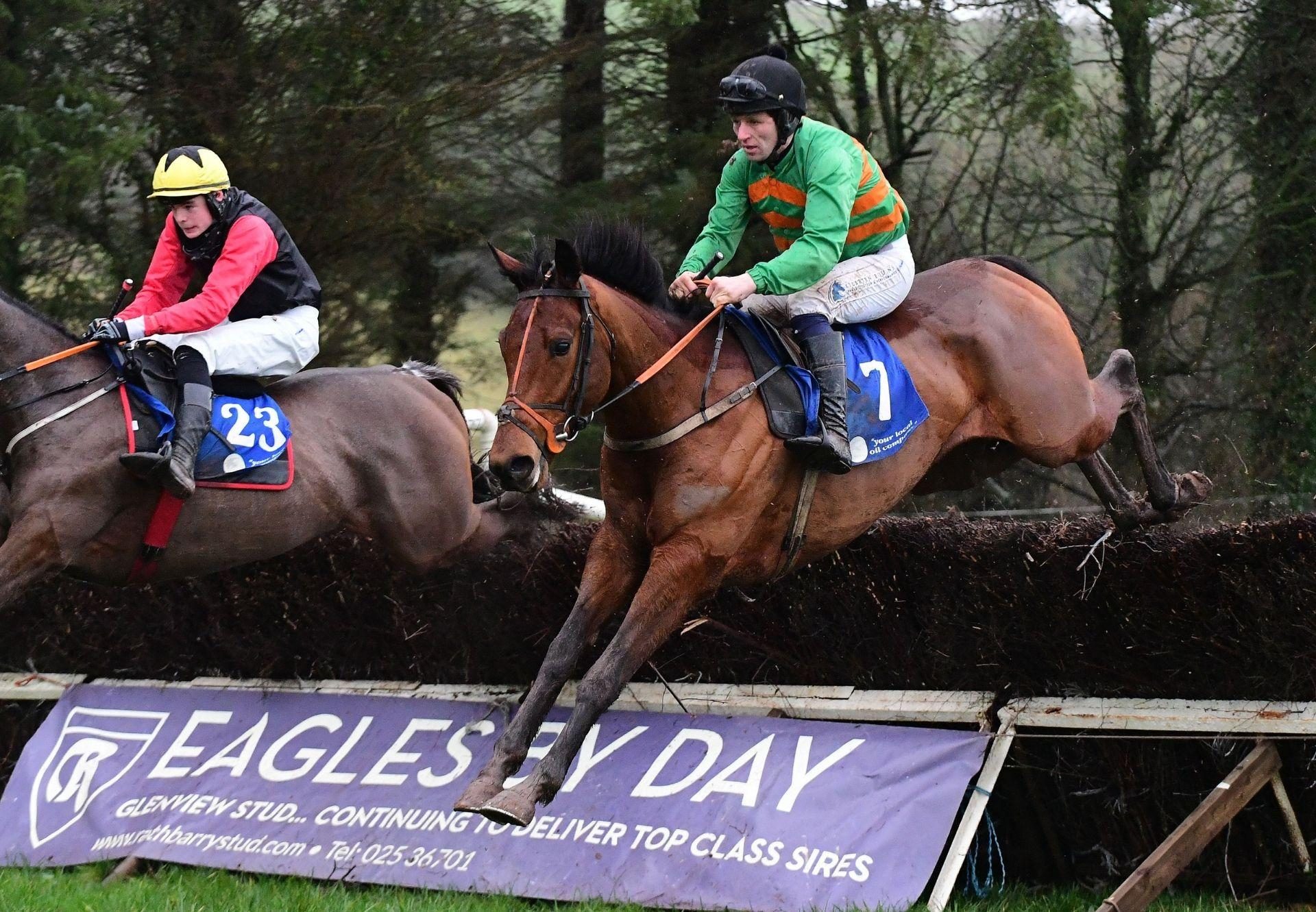 Border Lad Maxios Aghabullogue