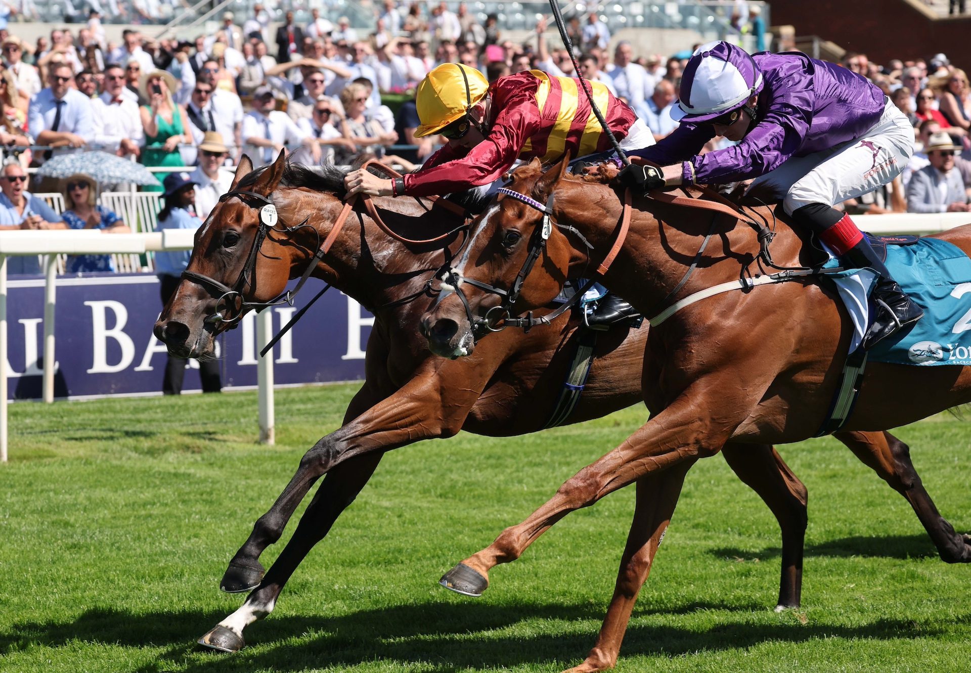 Bosa Nova (churchill) Makes It Two From Two