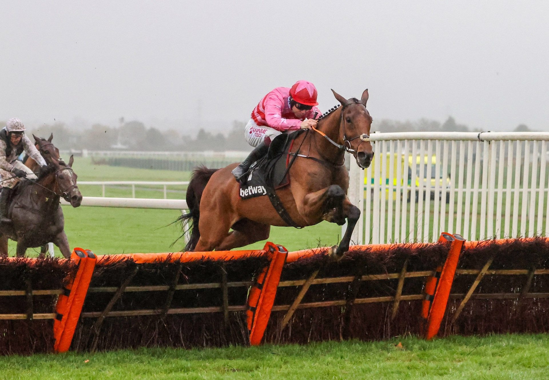 Brewin’Upastorm (Milan) Wins The Betway Hurdle At Aintree