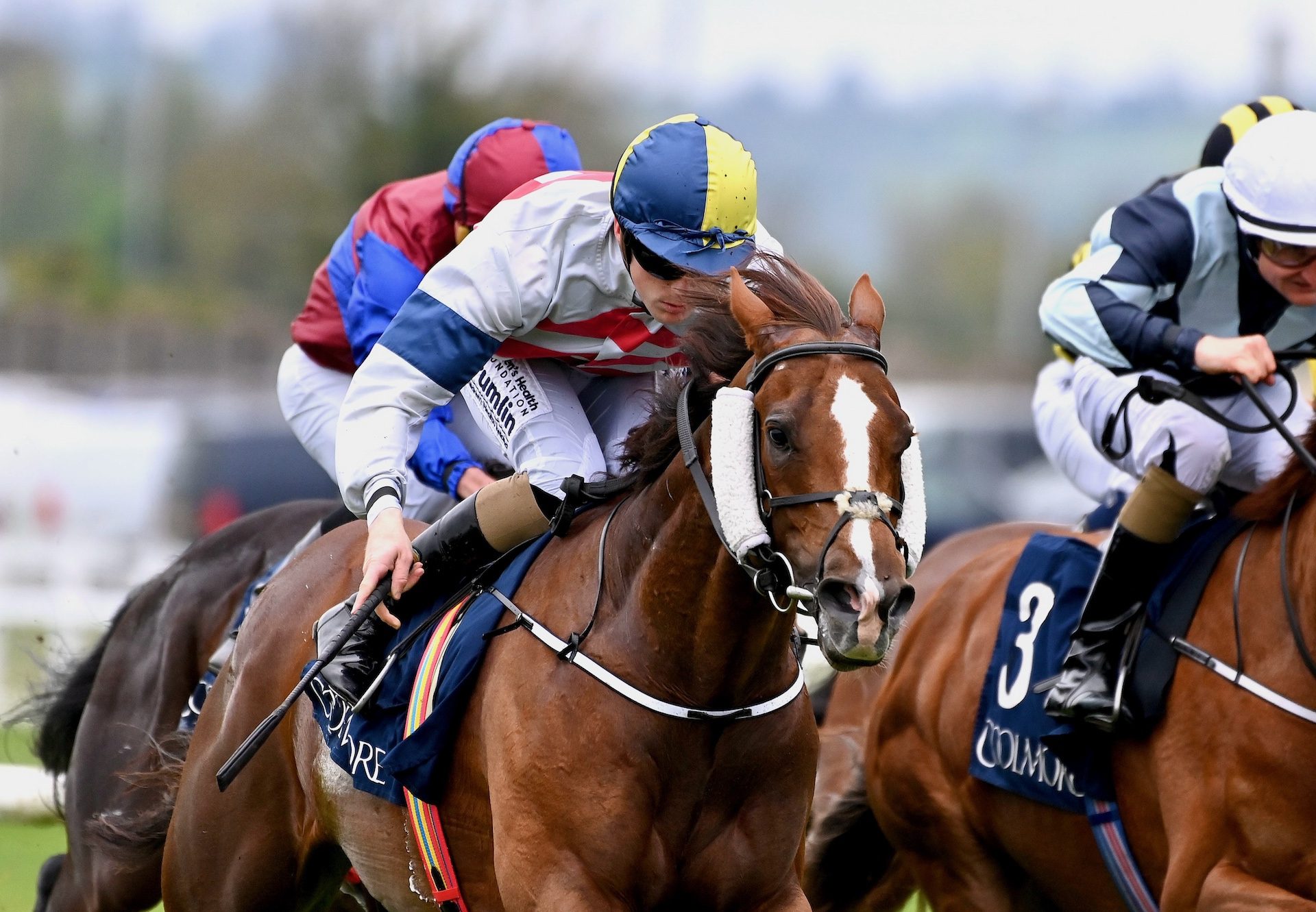 Bright Stripes (Starspangledbanner) Wins The Listed Coolmore Stud Paddington Irish Ebf Tetrarch Stakes