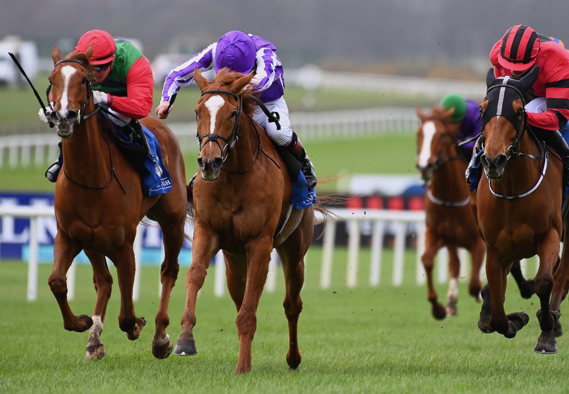 Brilliant (Gleneagles) Wins The Group 3 Park Express Stakes At The Curragh