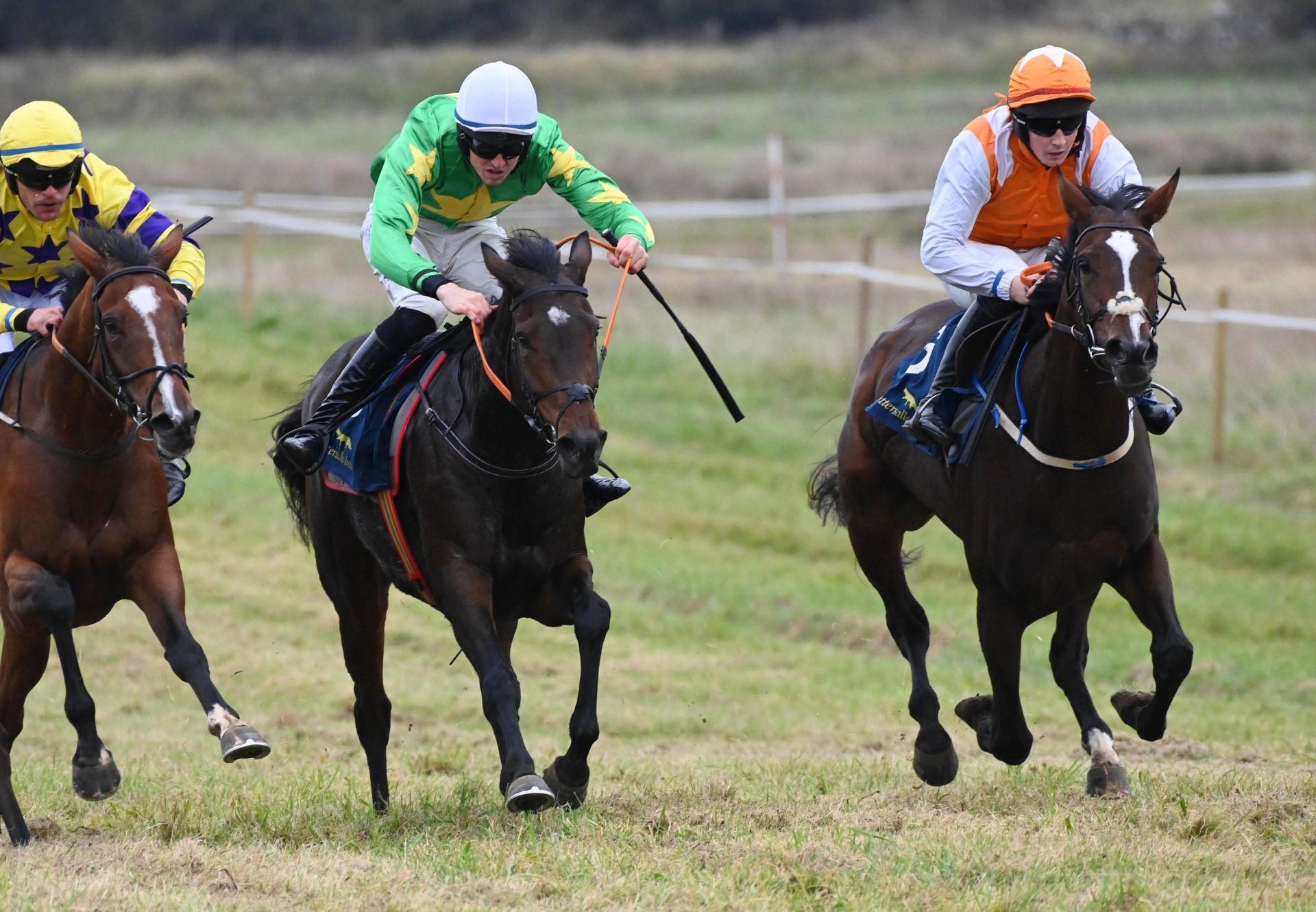 Britway Belle Getaway Loughrea