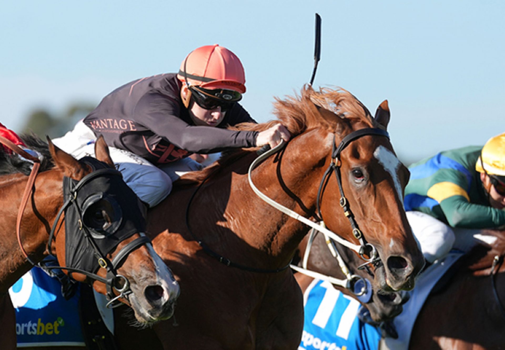 Bronte Beach (Justify) Sandown 750