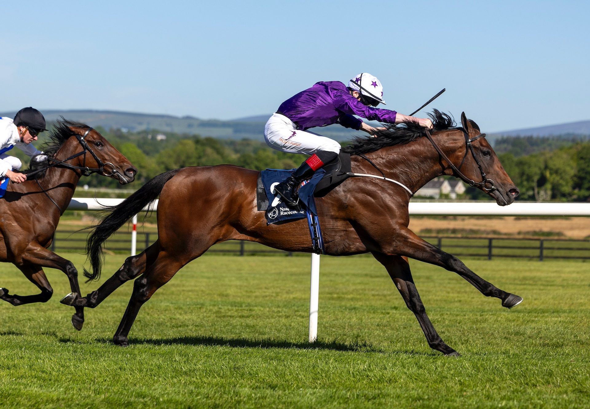 Bucanero Fuerte (wootton bassett) Wins The Sole Power Stakes