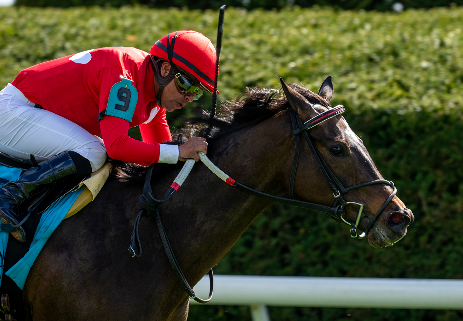 Buchu (Justify) Wins Gr.2 Appalachian Stakes at Keeneland