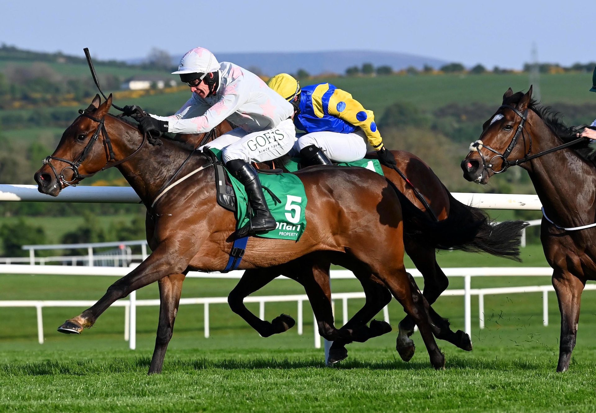 Bud Fox (walk in the park) Punchestown