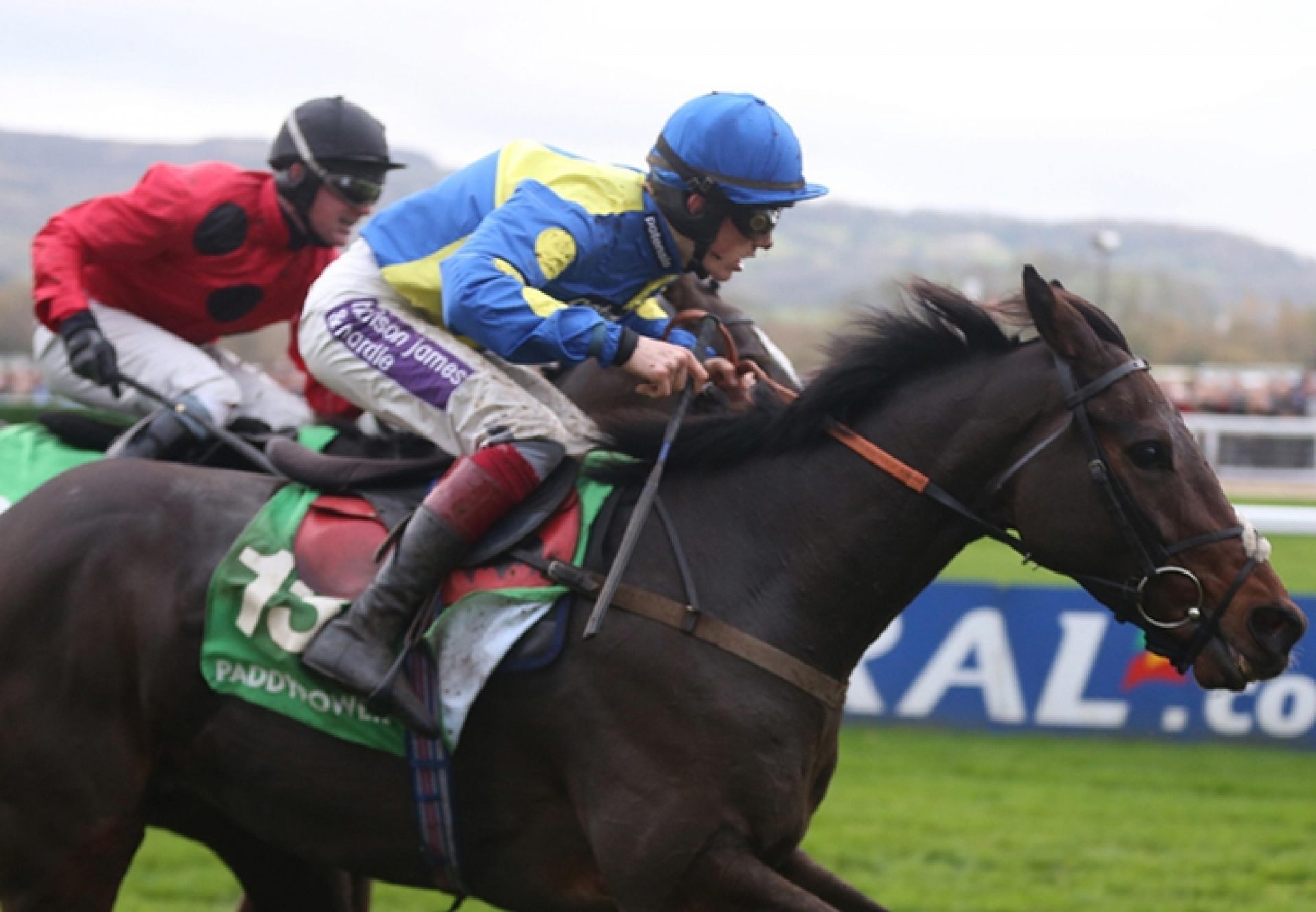 Caid Du Berlais (Westerner)