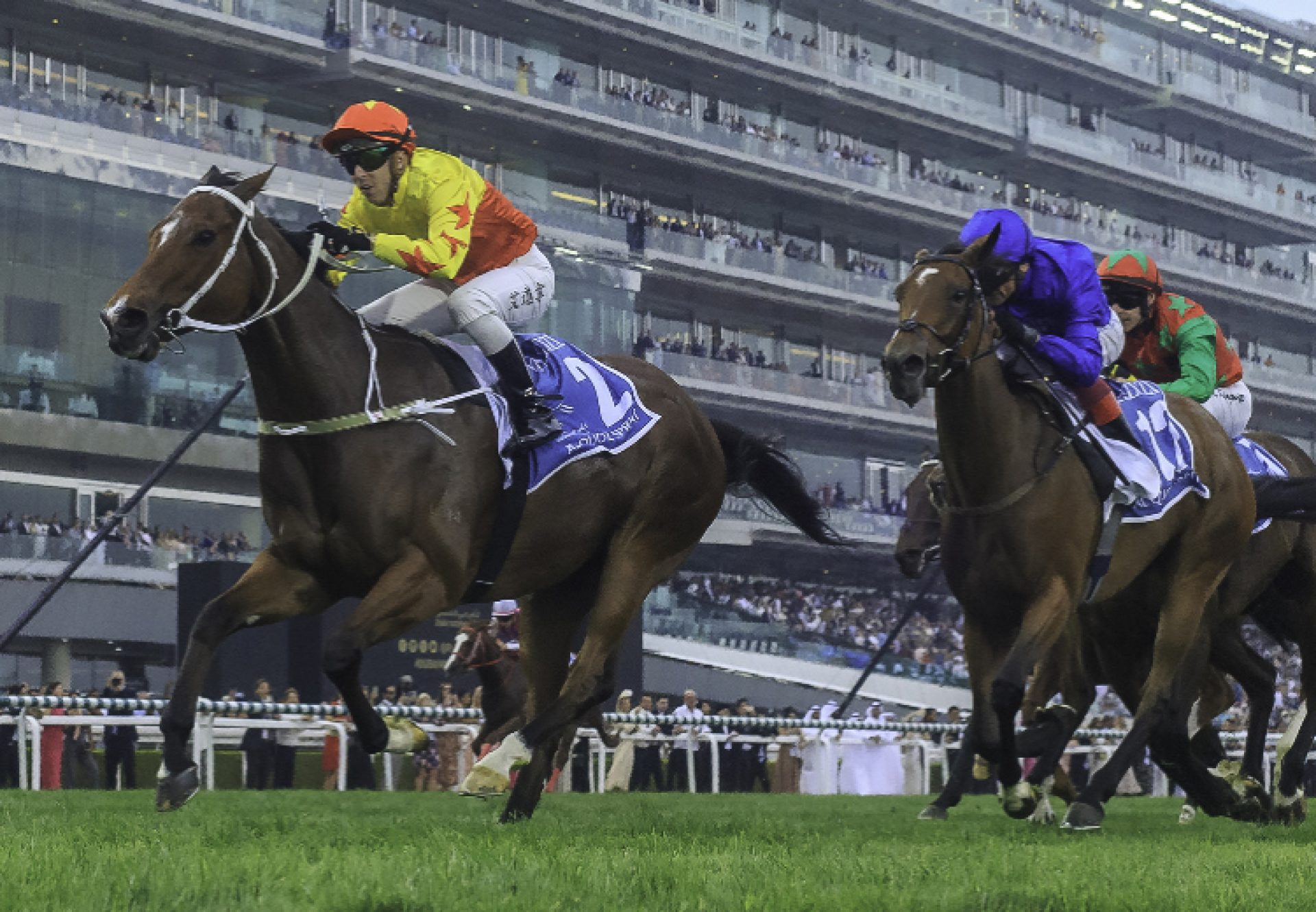 California Spangle (Starspangledbanner) wins the Gr.1 Quoz Sprint at Meydan