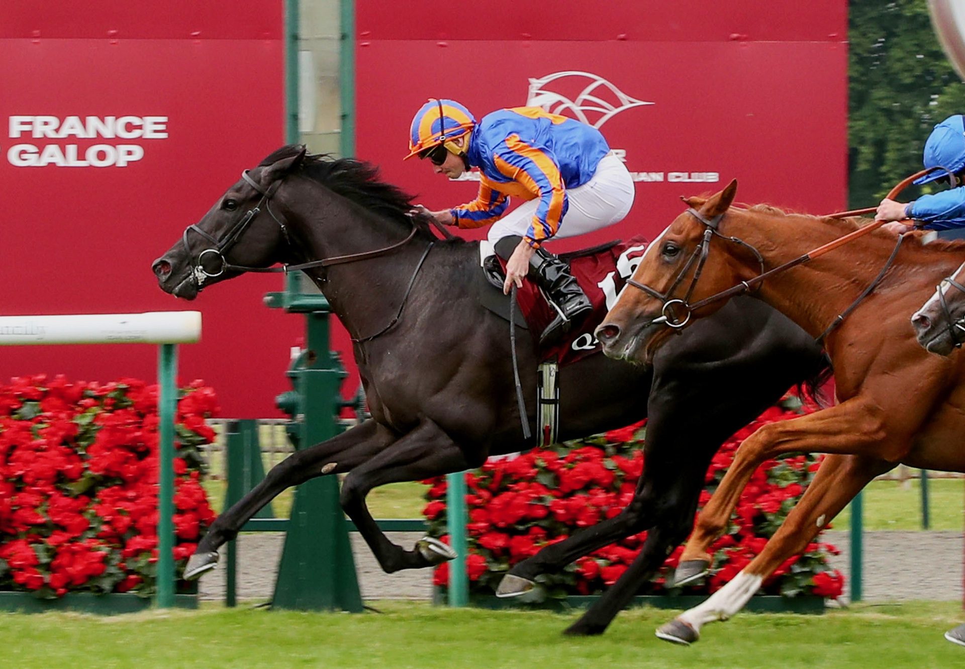 Camille Pissarro (wootton bassett) Wins The Prix Du Jockey Club