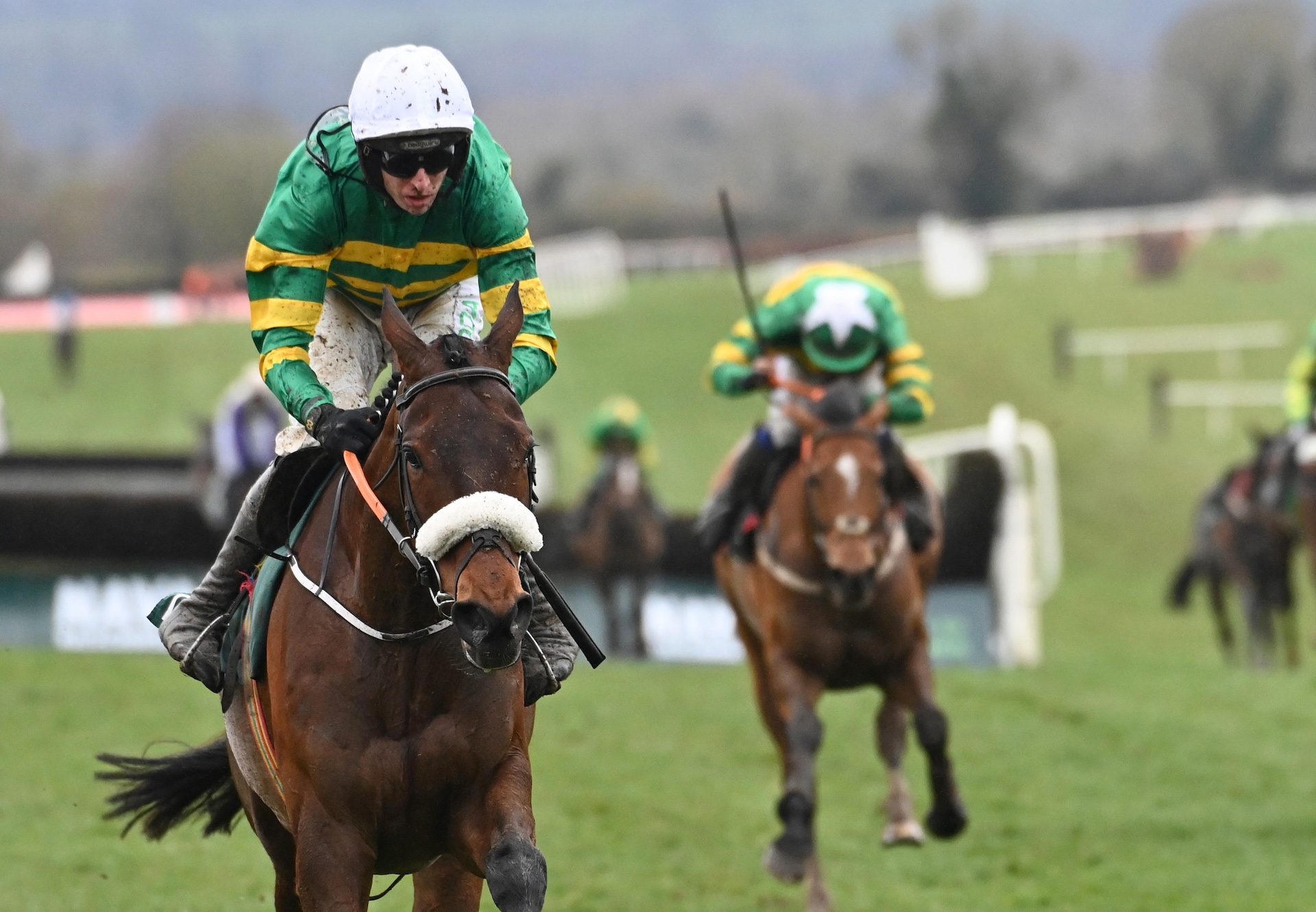 Canal End (Walk In The Park) Wins The Listed Chase At Navan