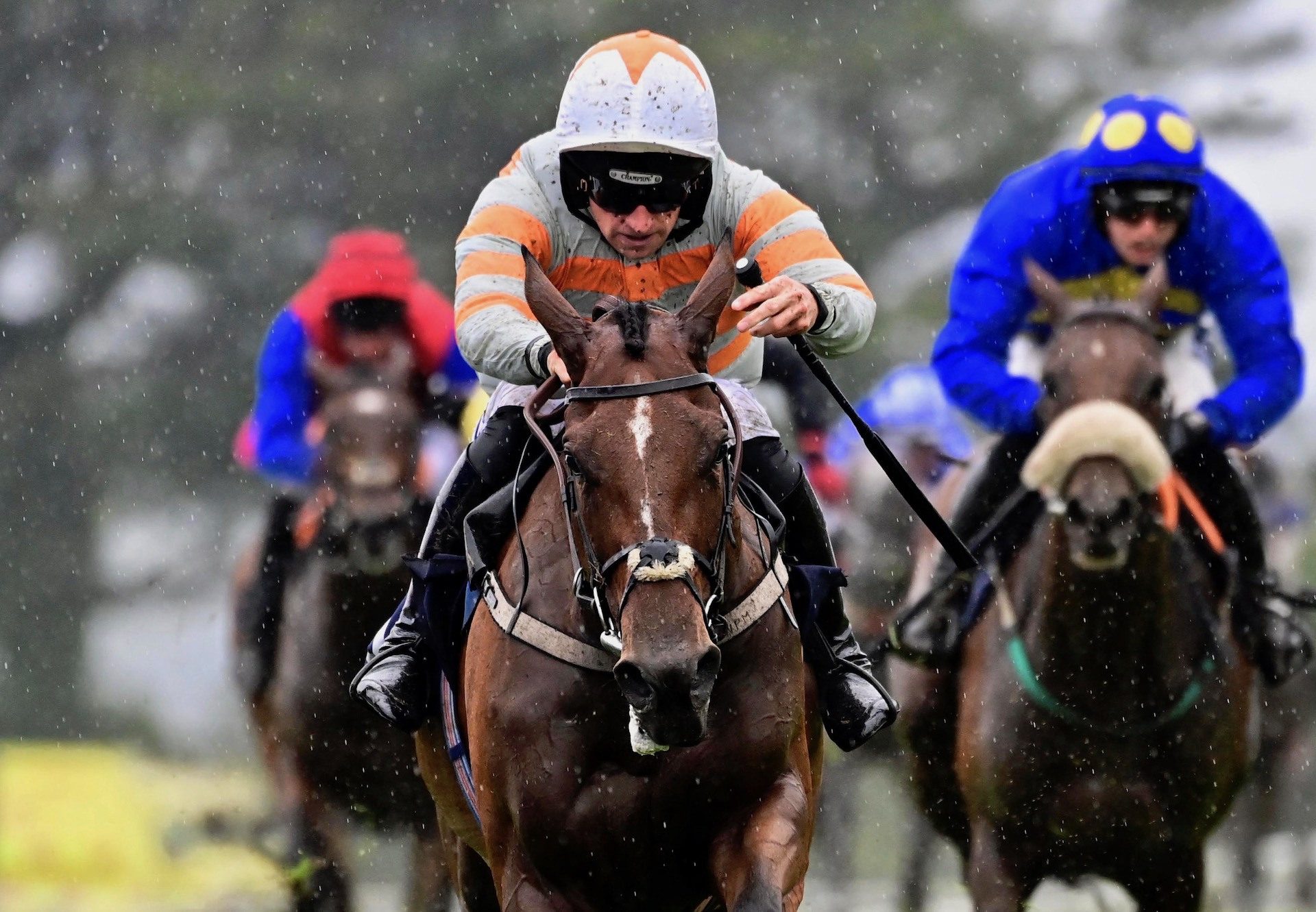 Carrigmoorna Queen (Walk In The Park) Wins The Mares Bumper At Galway