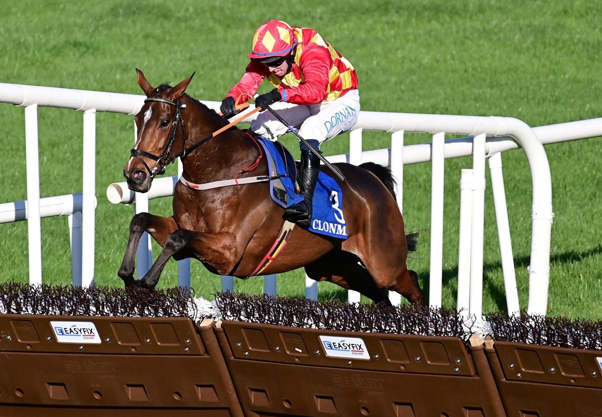 Carry On Heidi Idaho Clonmel