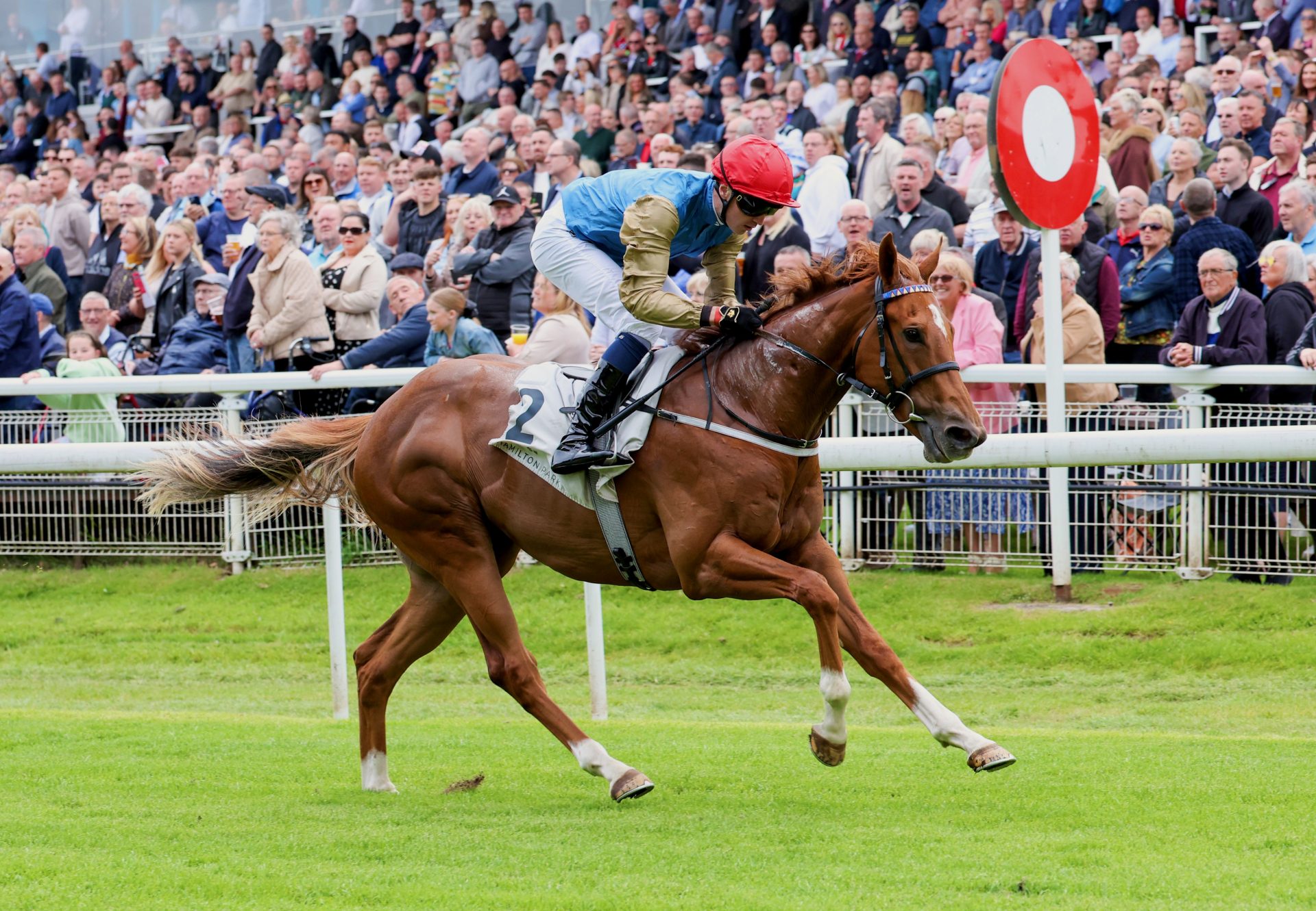 Catalyse (Starspangledbanner) Wins On Debut