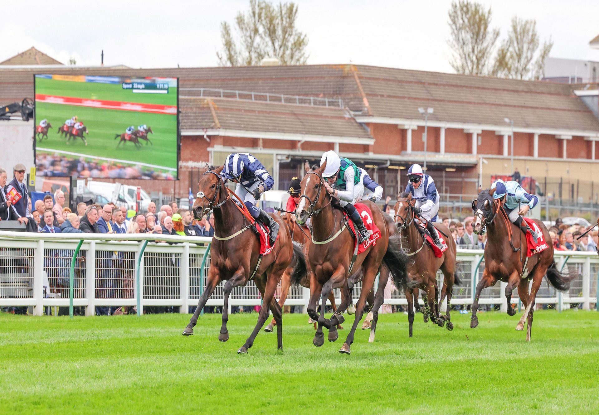 Catching The Moon No Nay Never Ayr