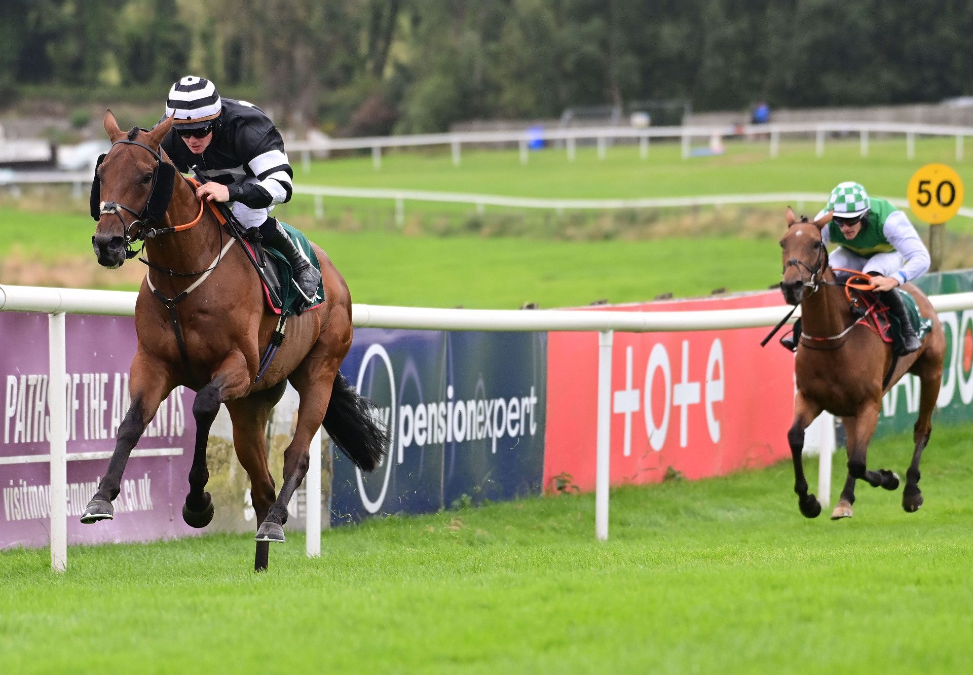 Catena Zapata (vadamos) Downpatrick F7