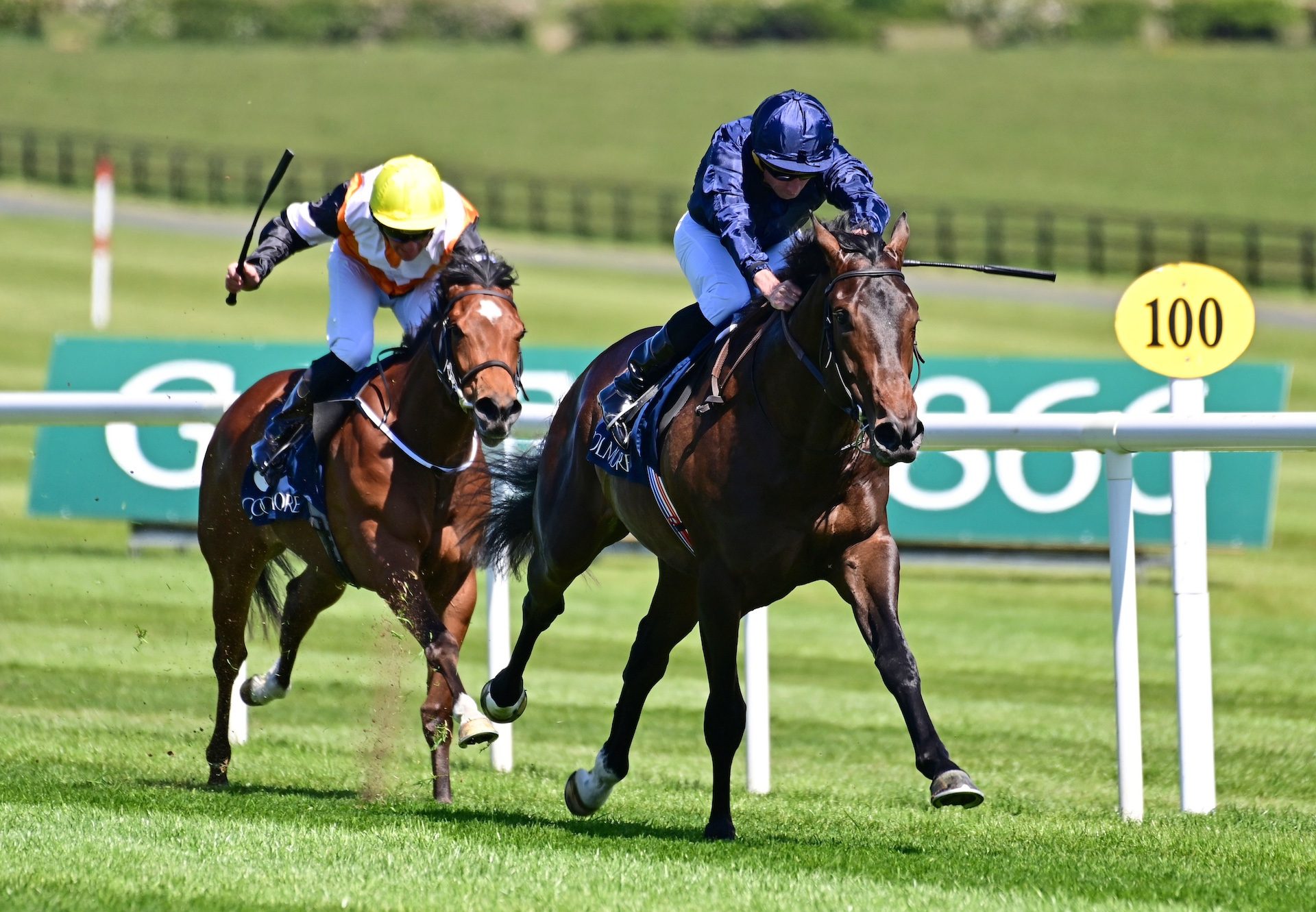 Charles Darwin (no nay never) Wins The Coolmore Stud The Antarctic Race At Naas