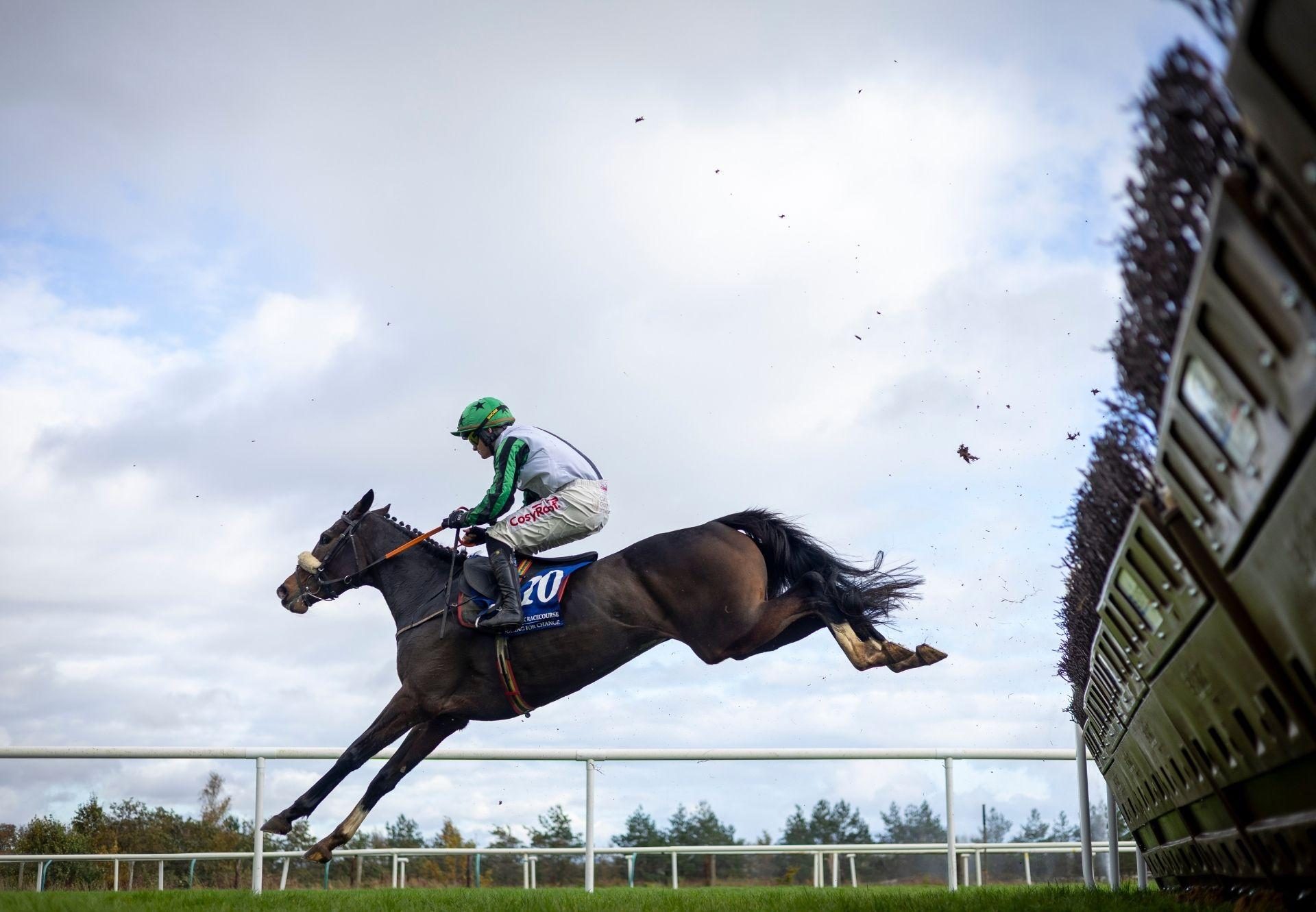 Chosen Comrade Walk In The Park Limerick