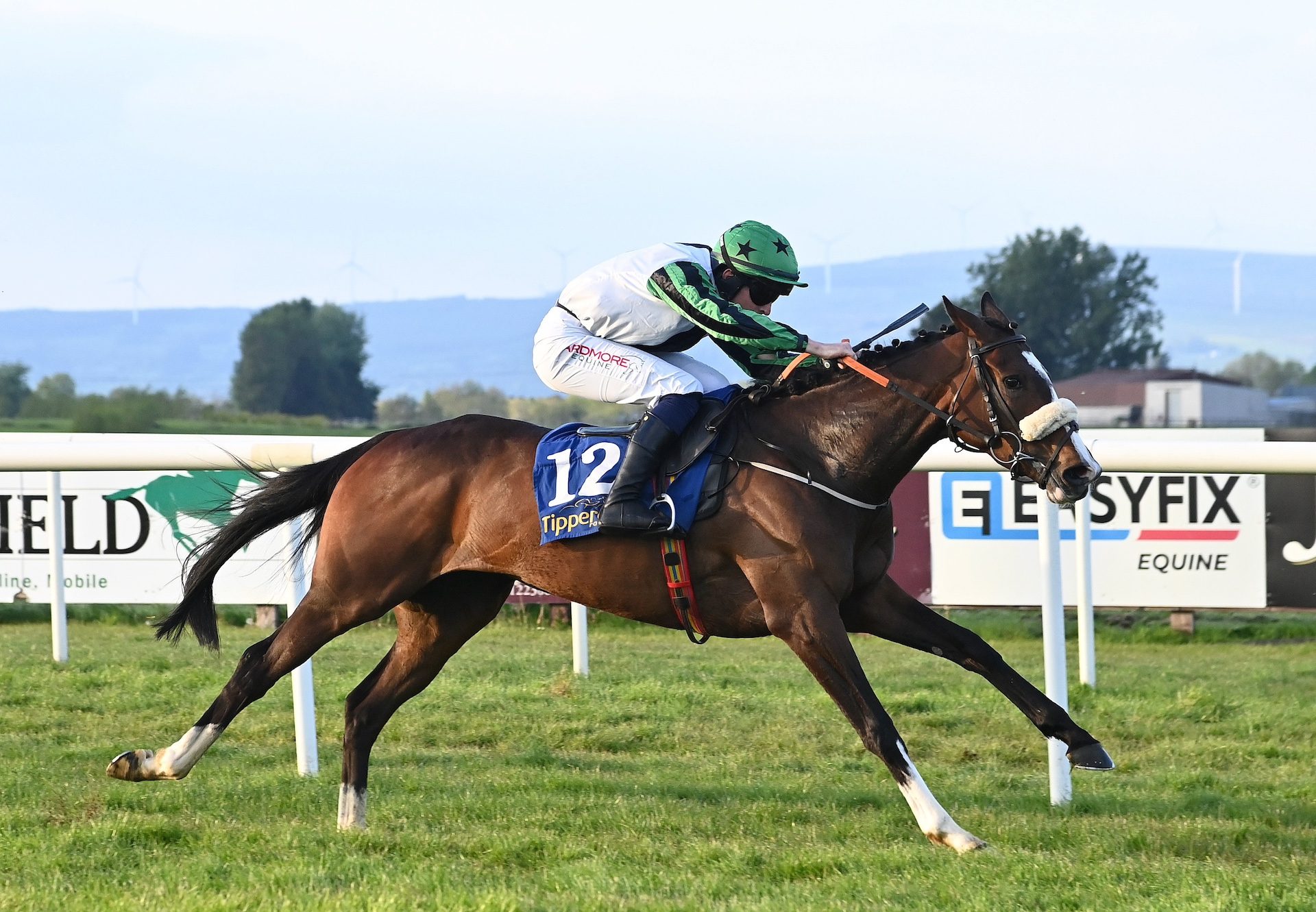 Chosen Comrade (walk in the park) Wins At Tipperary