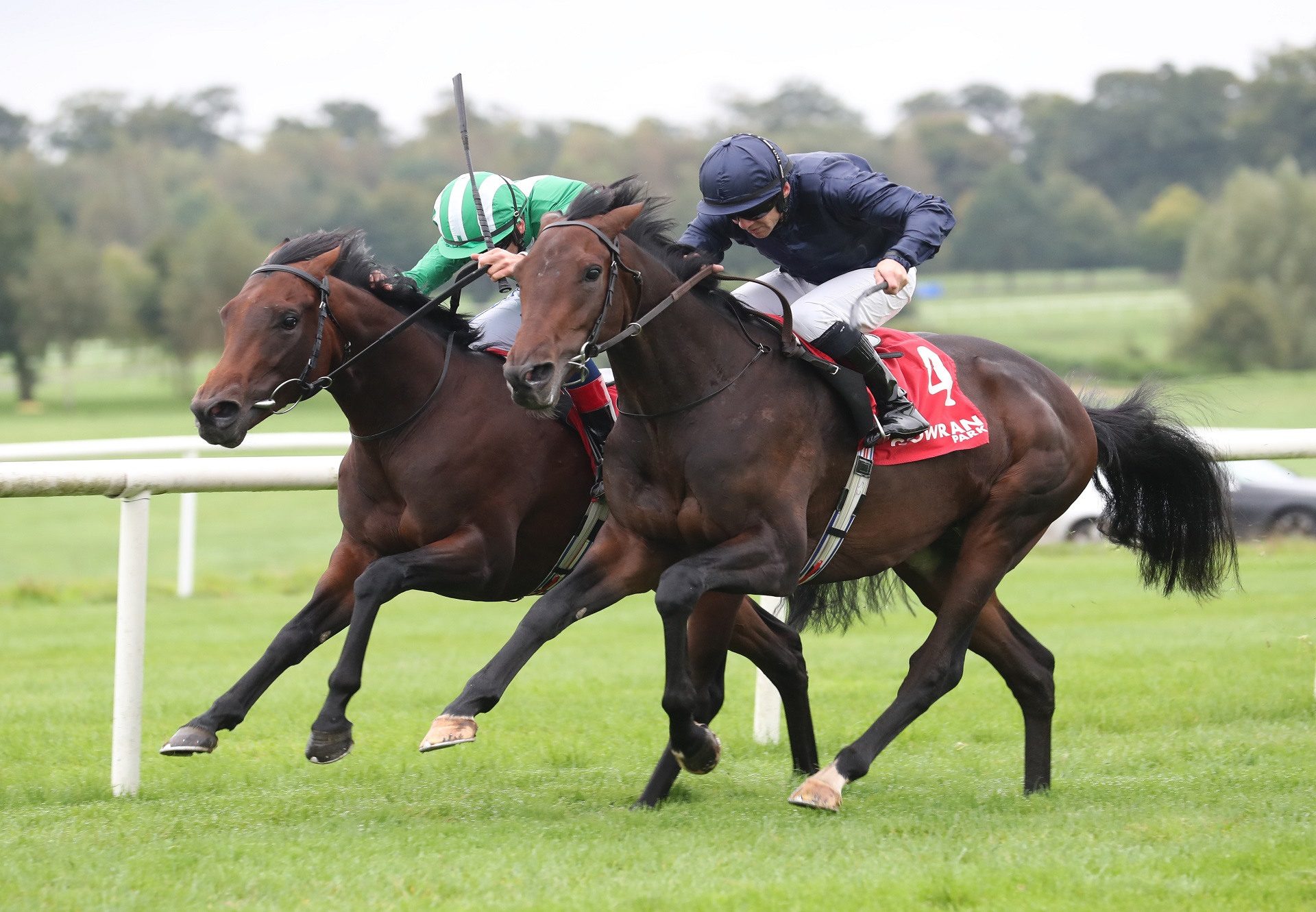 Christmas Day Camelot Gowran