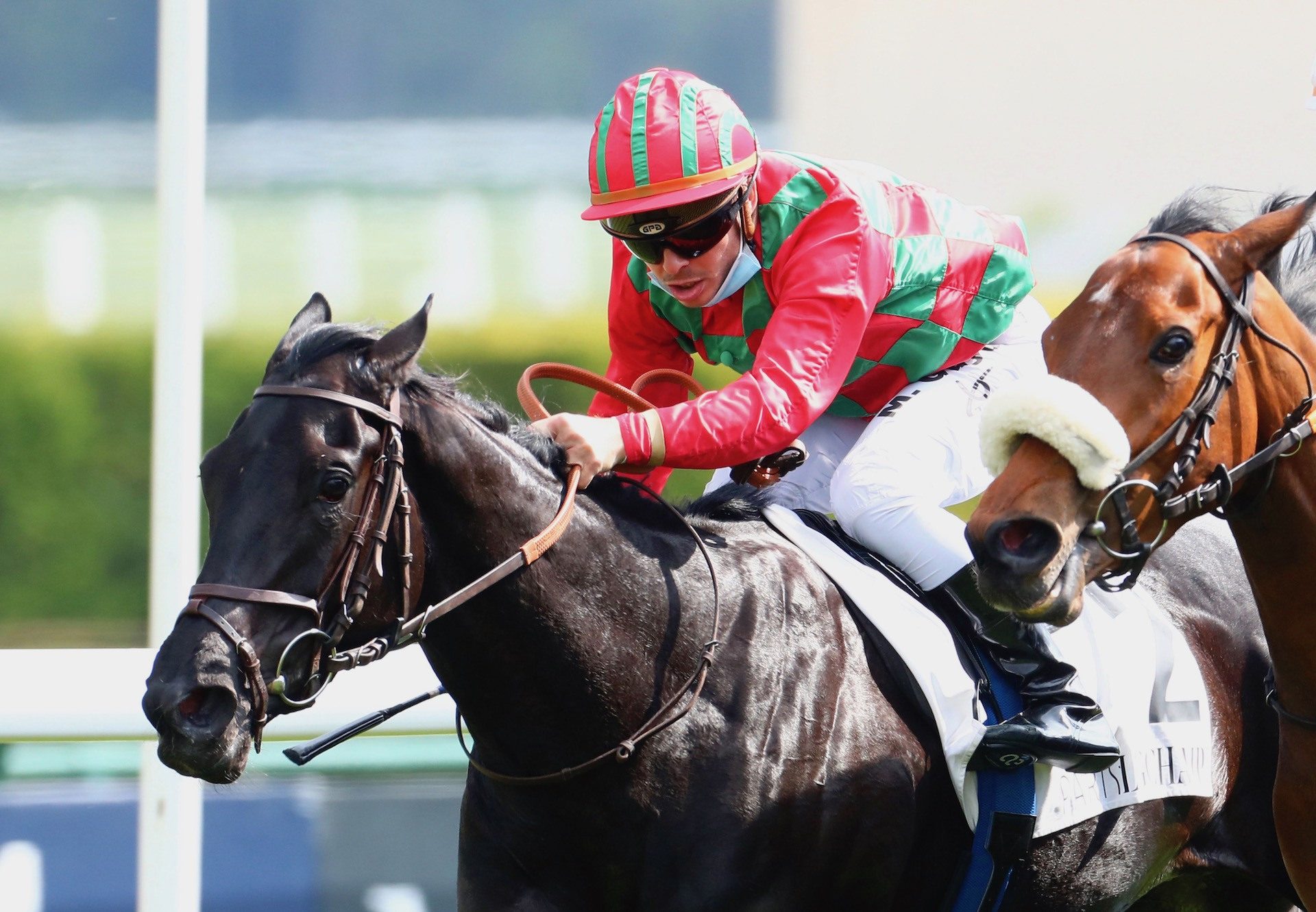 Cirona (Maxios) Lands The Gr.3 Prix De La Grotte at Longchamp