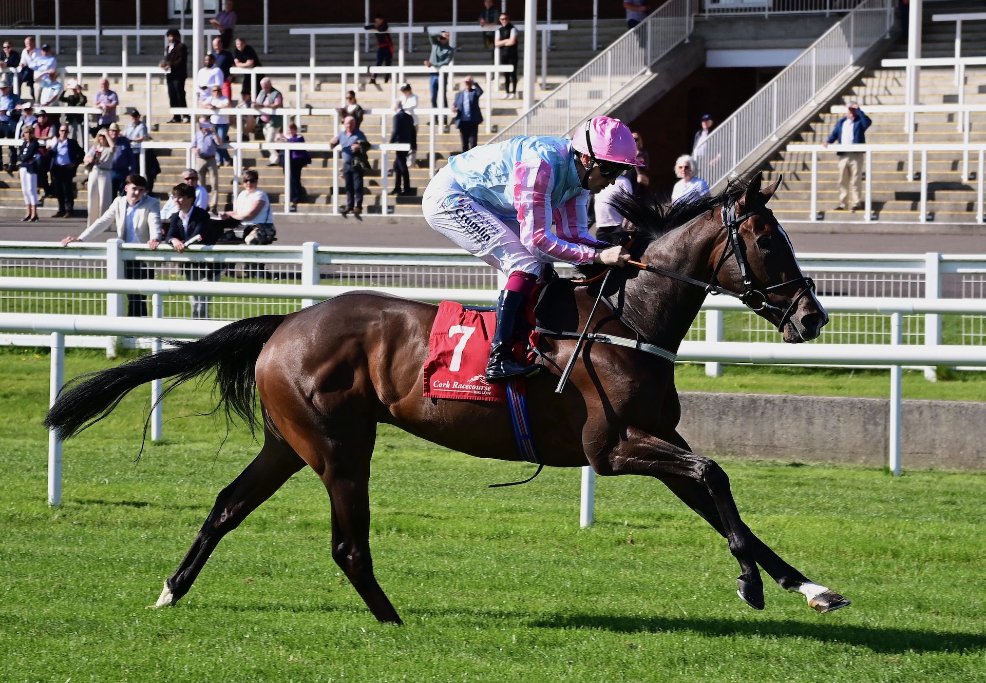 City Of Memphis (Sioux Nation) Wins On Debut At Cork