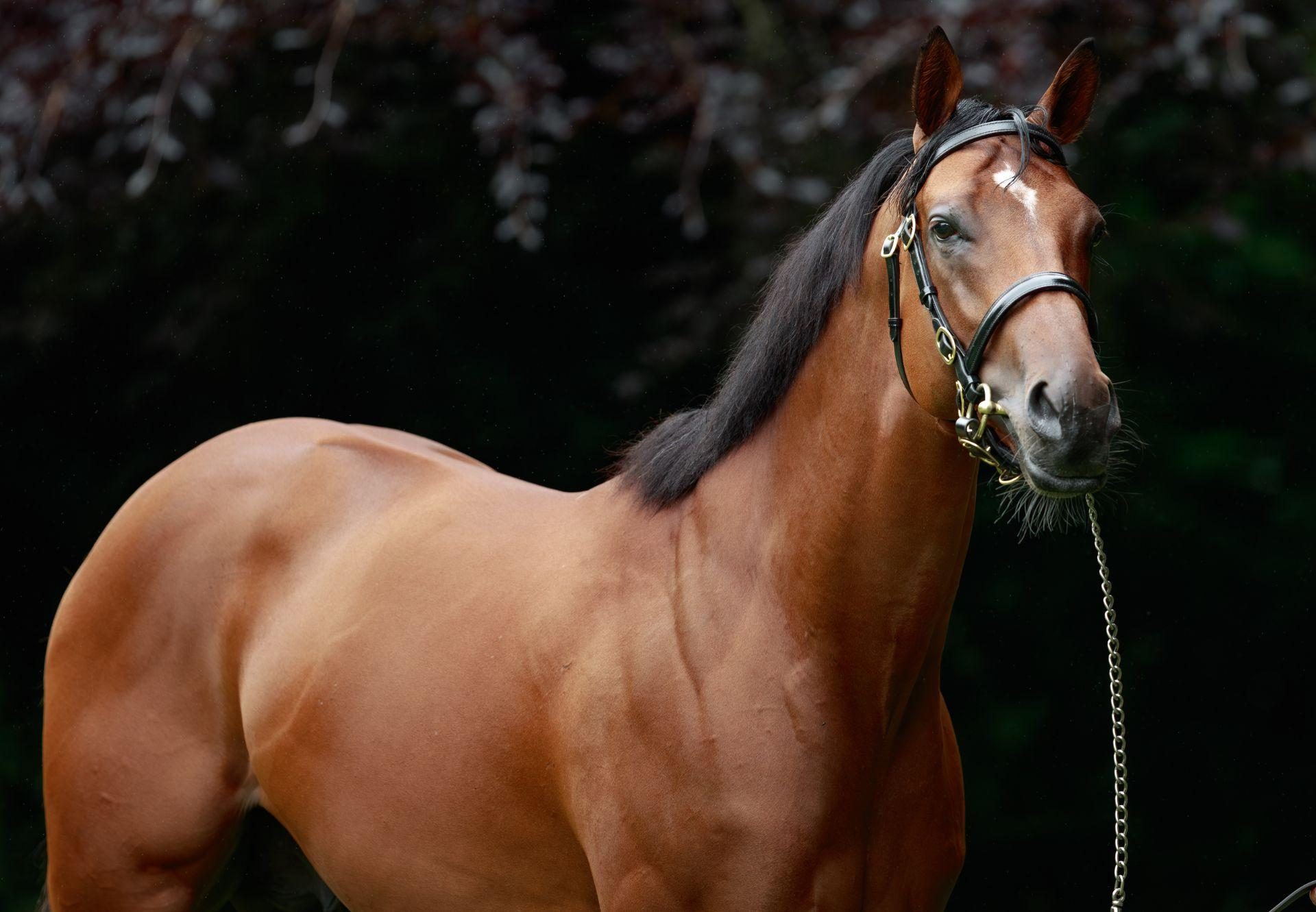 City Of Troy Headshot