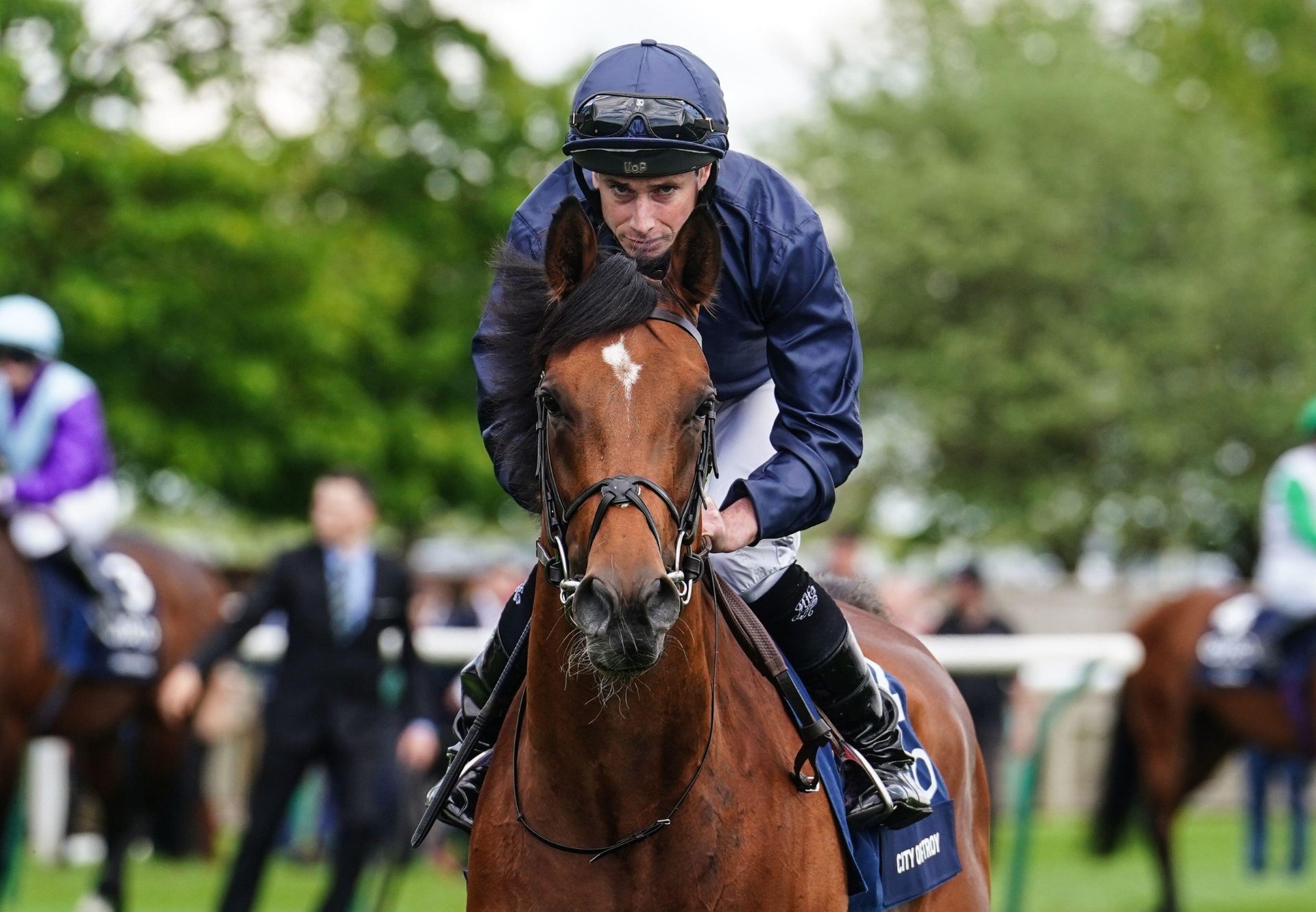 City Of Troy Head Shot