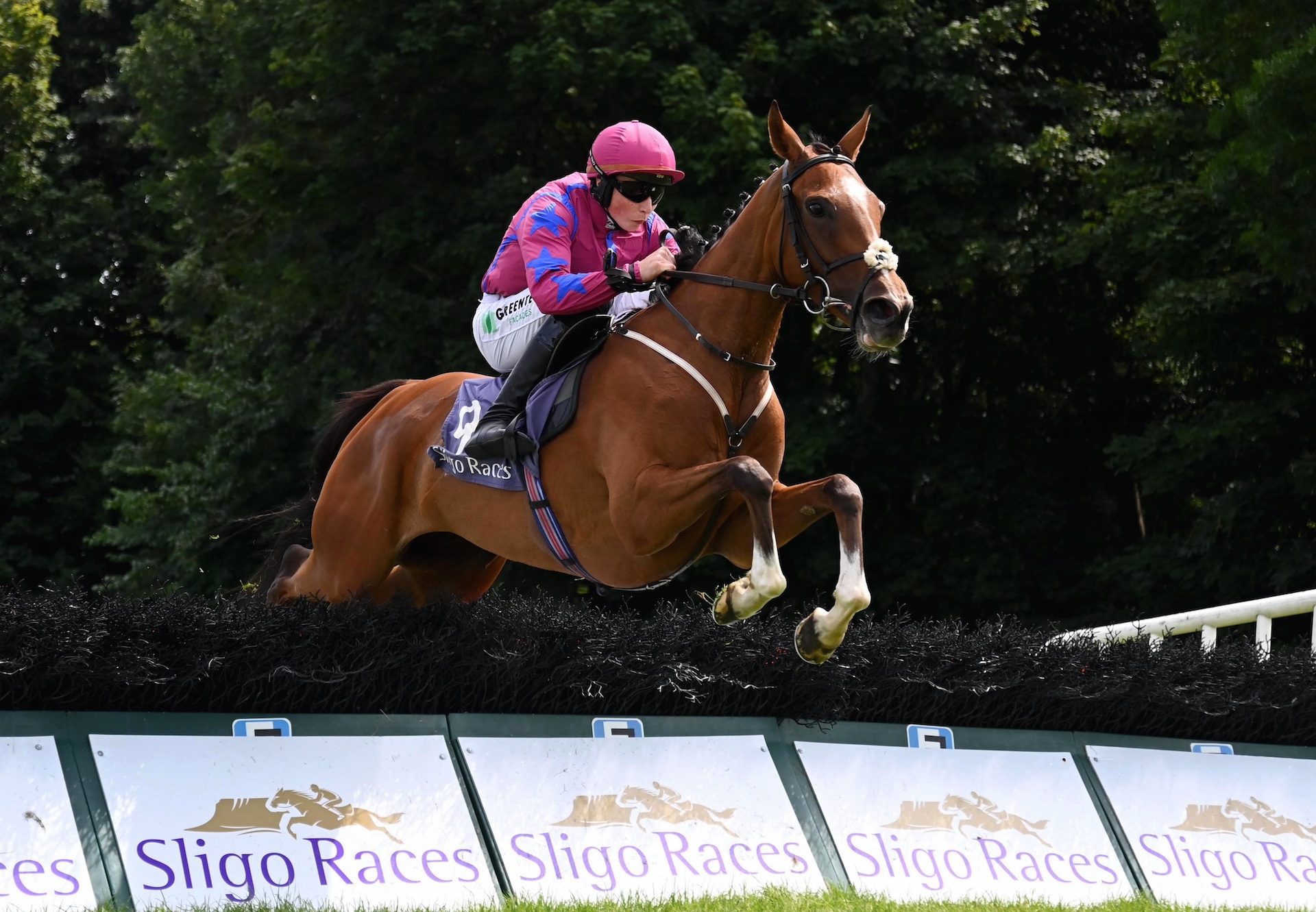 Cjs Darling (idaho) Wins The Maiden Hurdle At Sligo