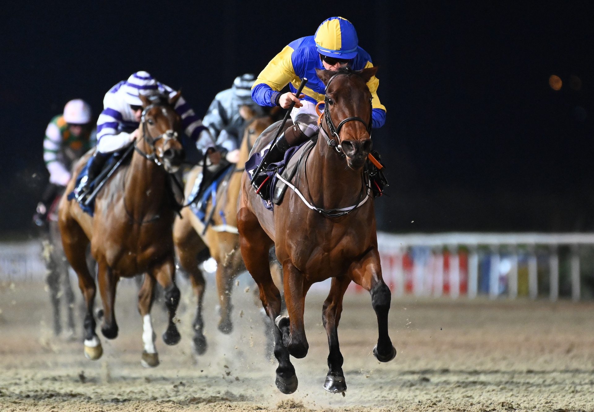 Clarita (Calyx) Wins The Fillies Maiden At Dundalk