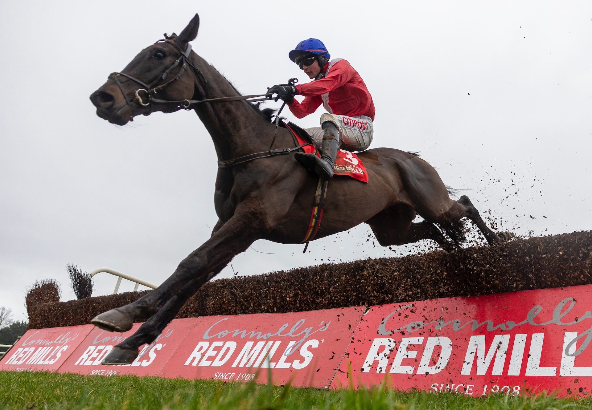 Classic Getaway (Getaway) Lands The Grade 2 Red Mills Chase