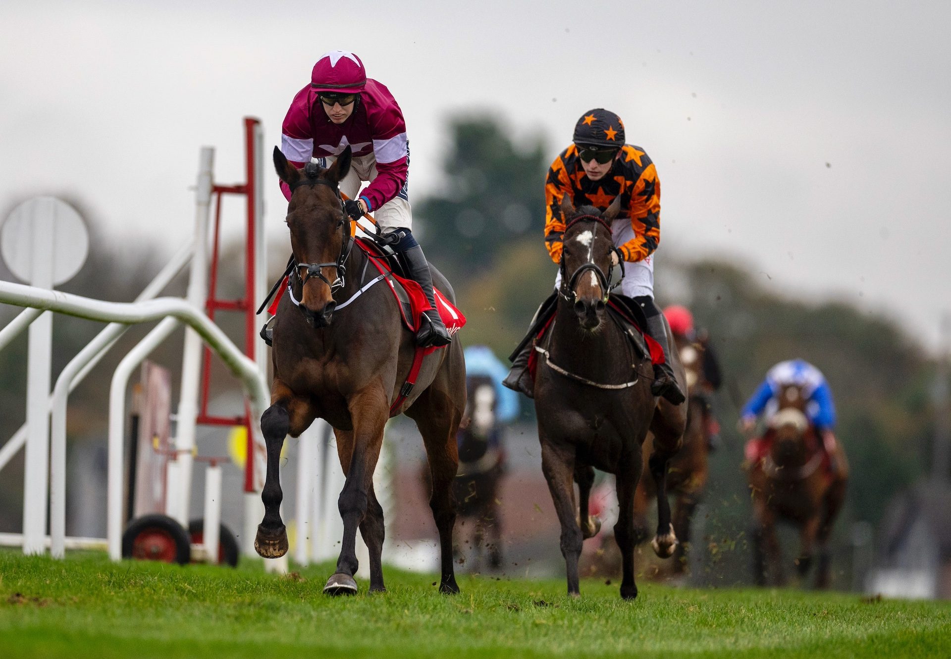 Classical Creek (Walk In The Park) Wins On Rules Debut