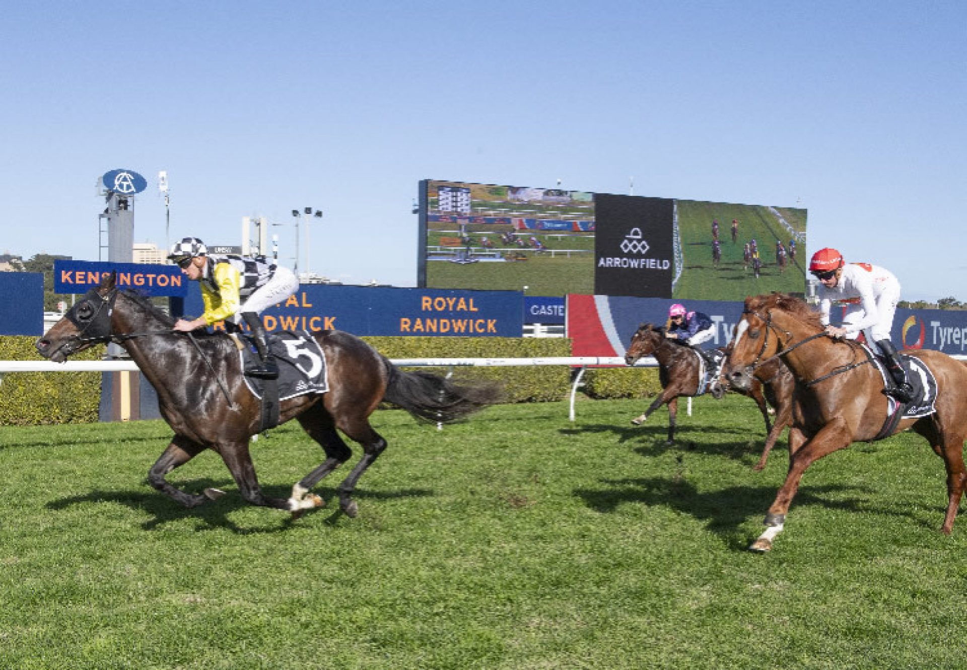Clear Proof (Justify) Randwick 750