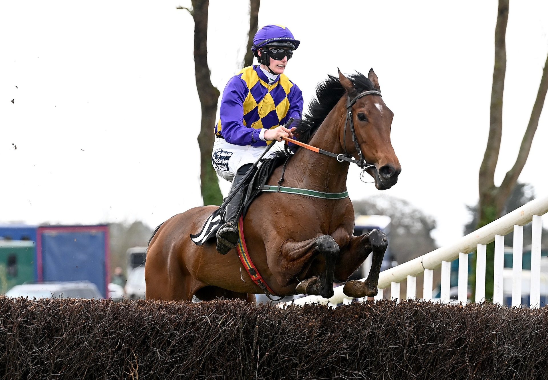 Clondaw Park (Walk In The Park) Impresses At Lisronagh